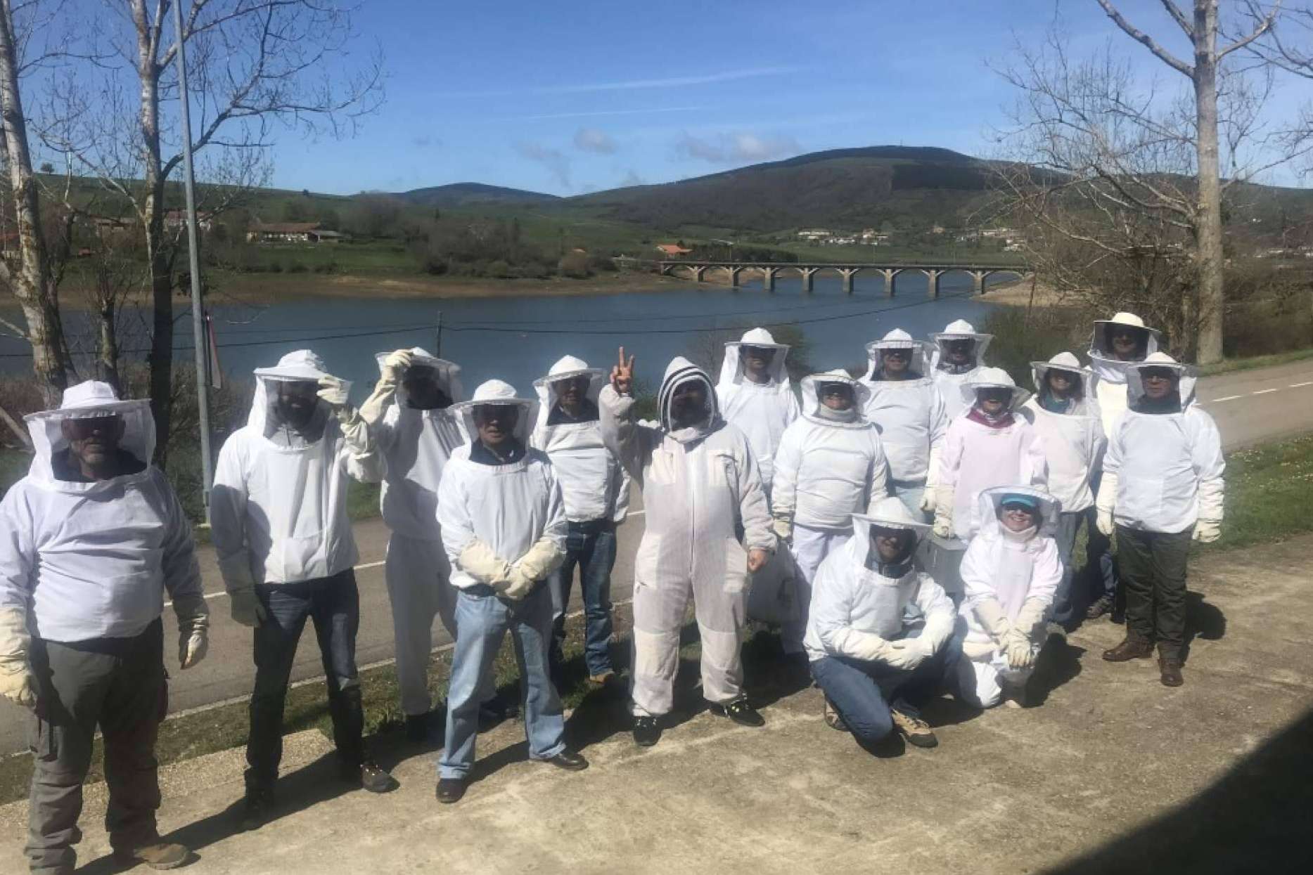 Los beneficios de la apiterapia con apitoxina, con Cursos Apicultura