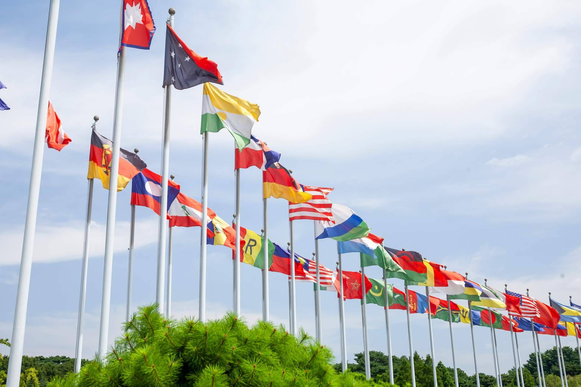 Comprar banderas del mundo para embarcaciones, en Marsal Banderas