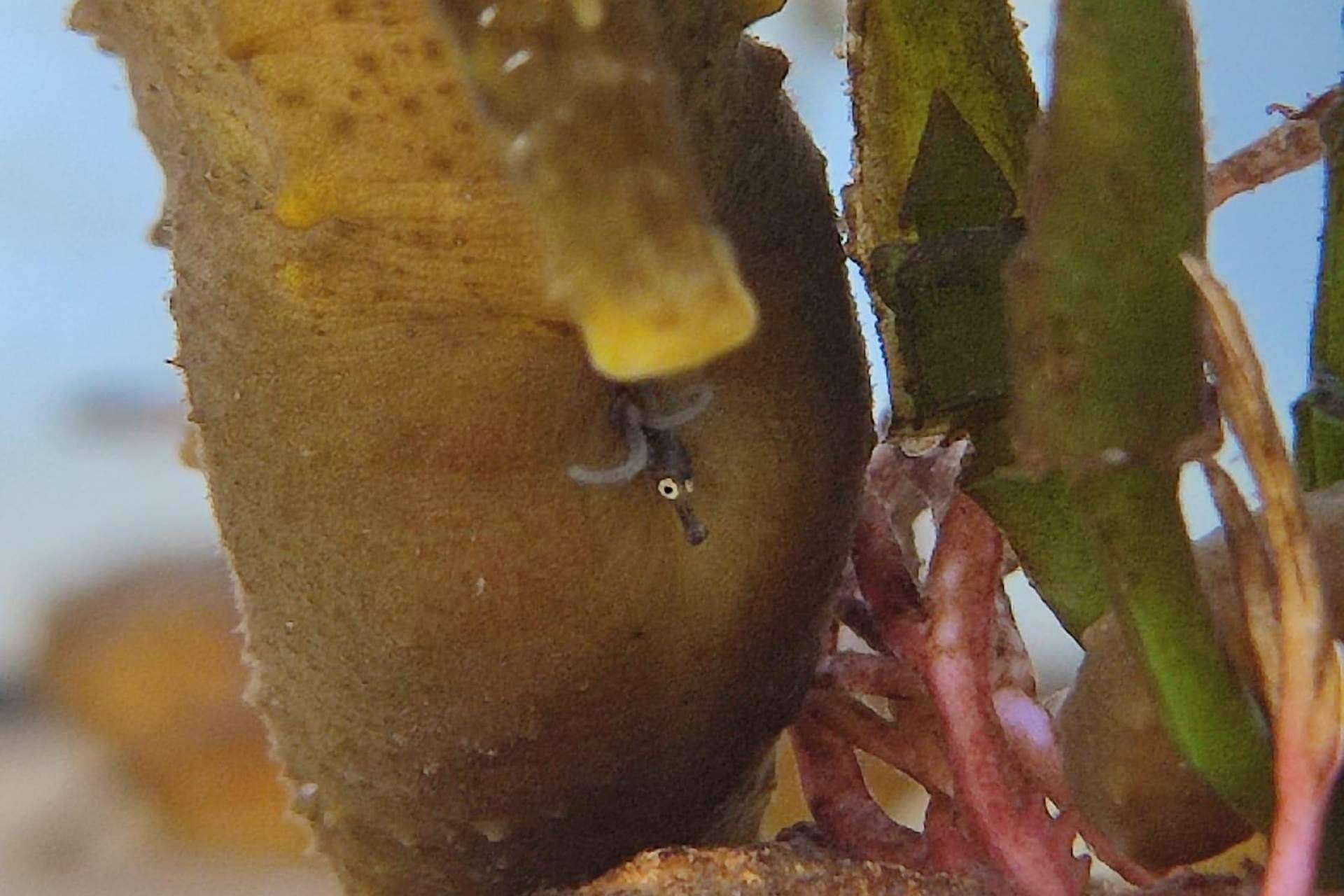 Compromiso medioambiental y educativo de Palma Aquarium en Mallorca