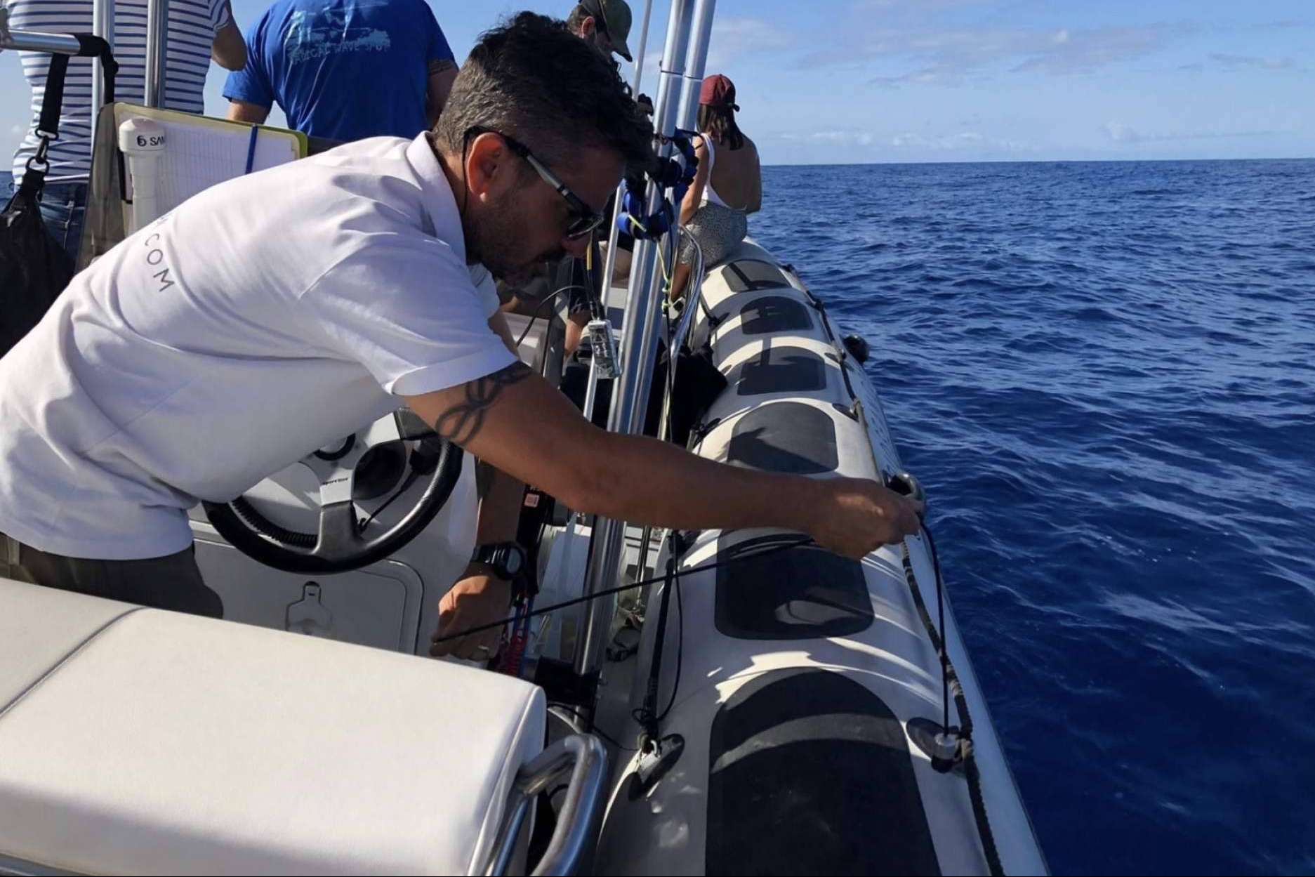 Para la investigación de la ballena piloto en Tenerife, Biosean genera información clave