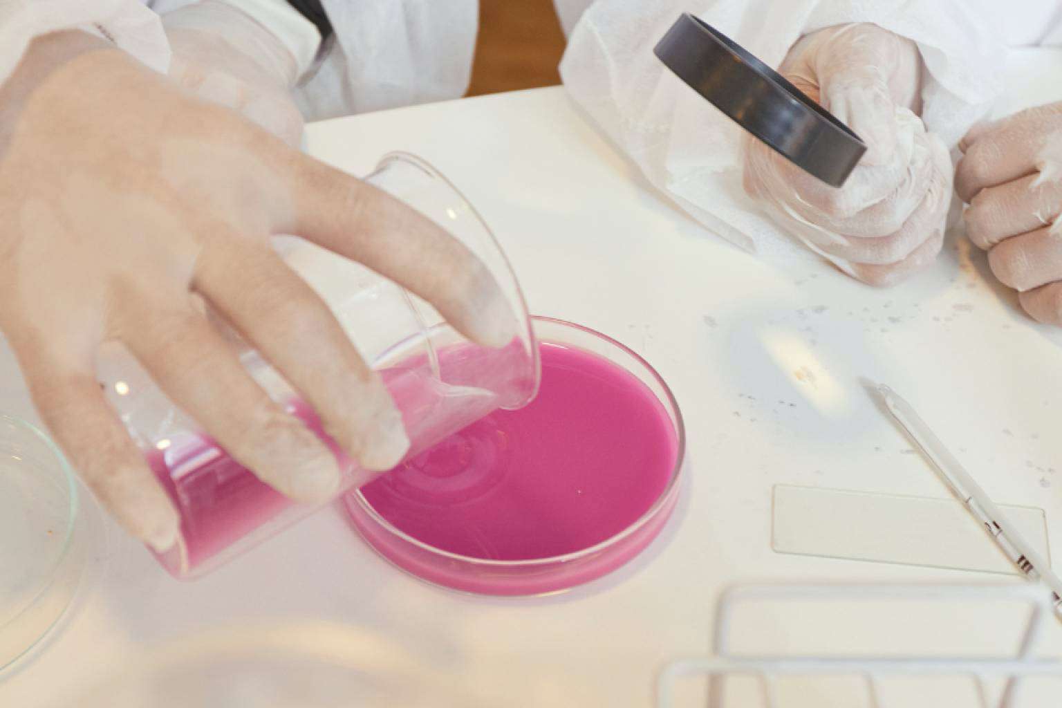 CreaNova adapta un sistema pedagógico innovador, el Learning By Doing