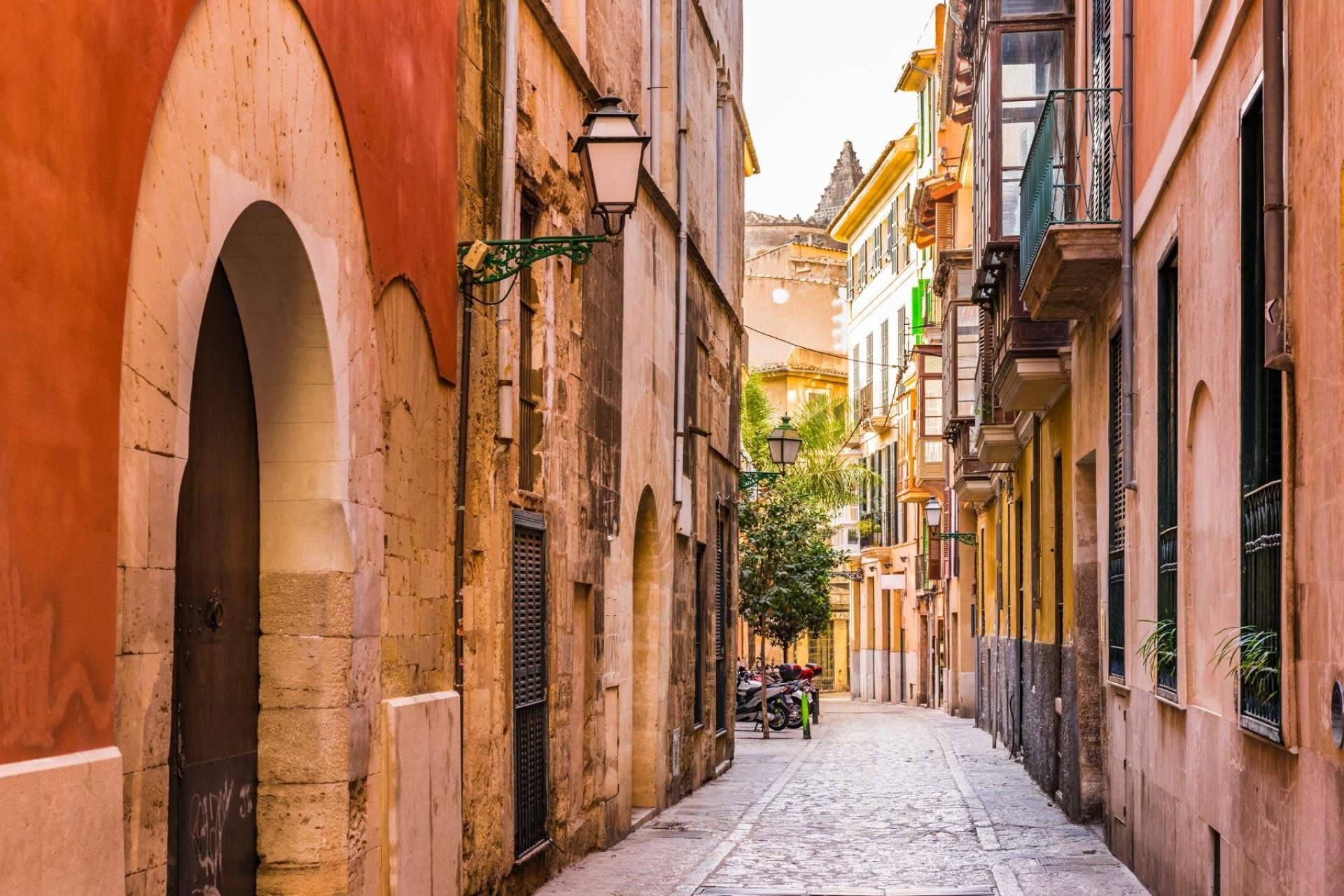 ClickFurgos ofrece un servicio de alquiler de furgonetas en Mallorca para hacer mudanzas