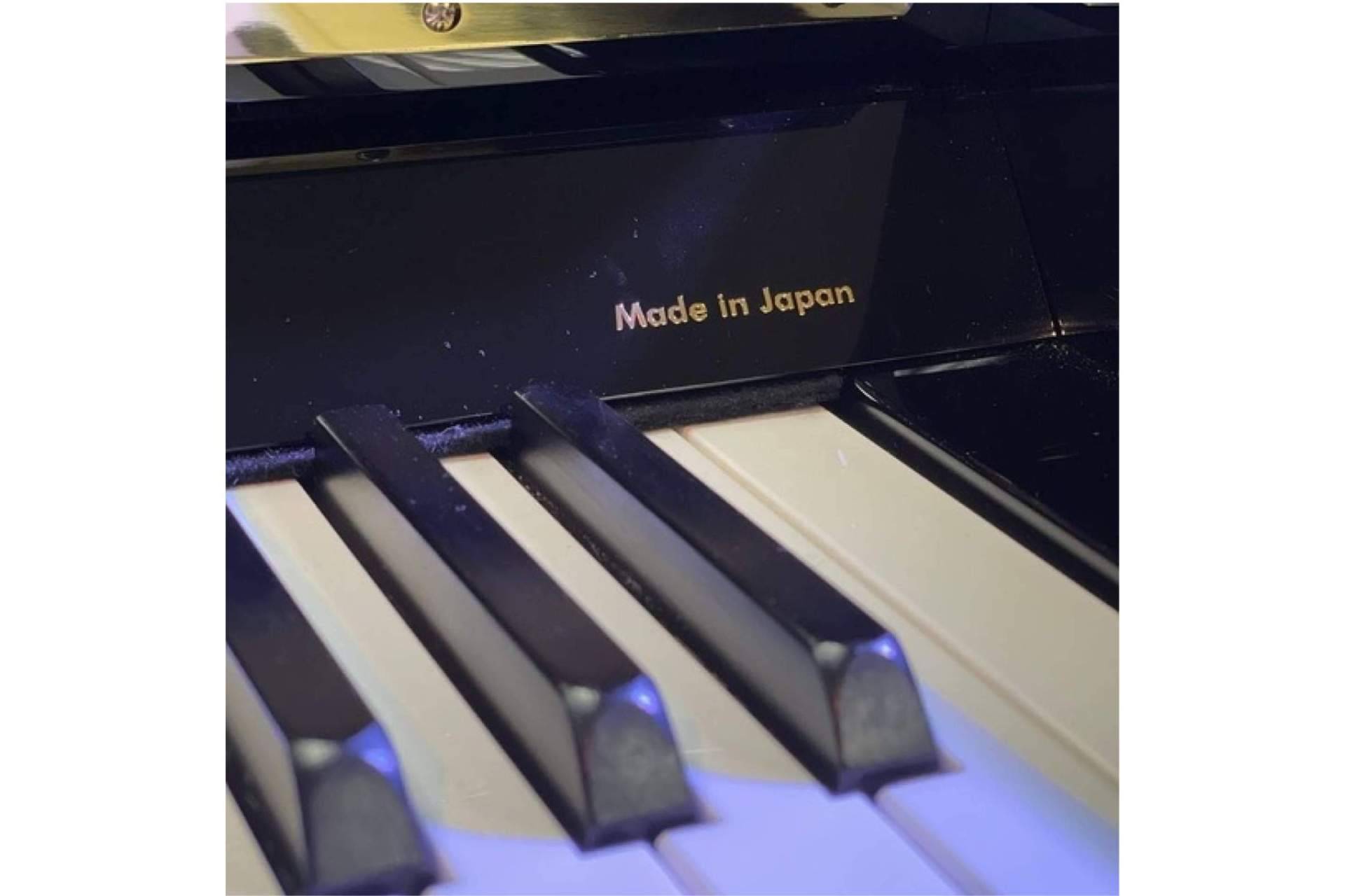 Pianos profesionales con los expertos de Real Music Spain