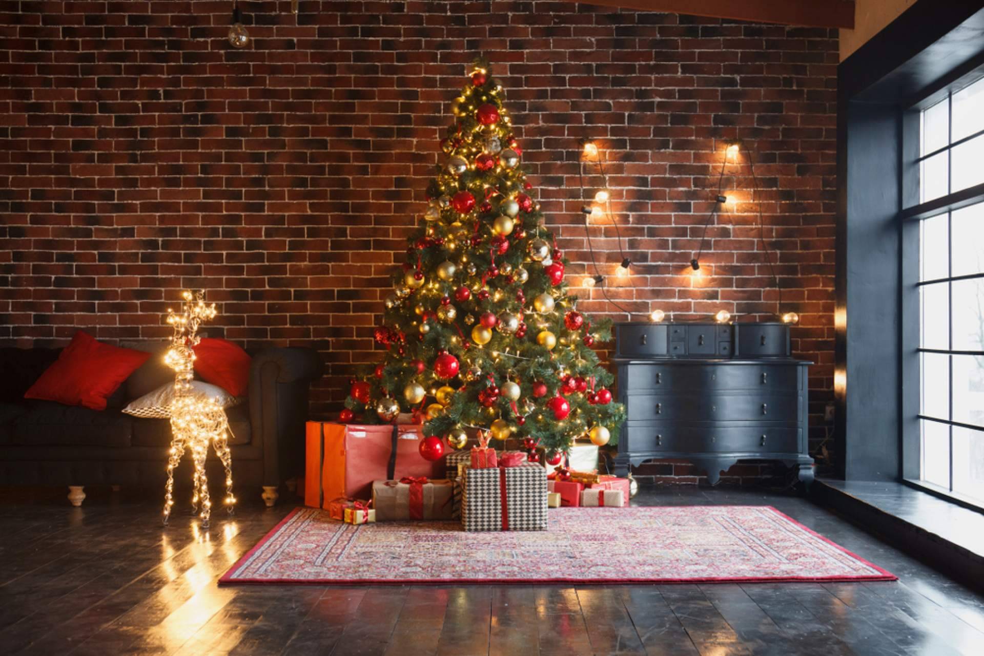 Adquirir árboles de Navidad naturales de la mano de Navet