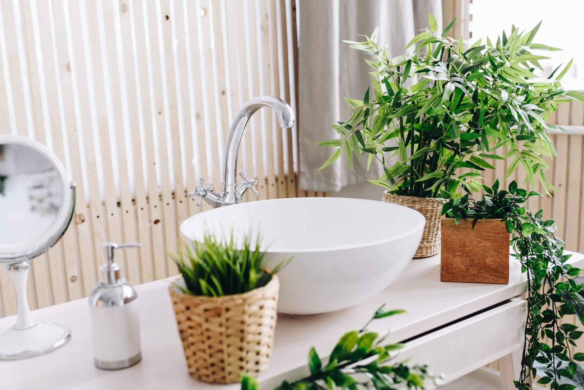 La oportunidad perfecta para comprar plantas artificiales en JardinVertical.es es el Black Friday