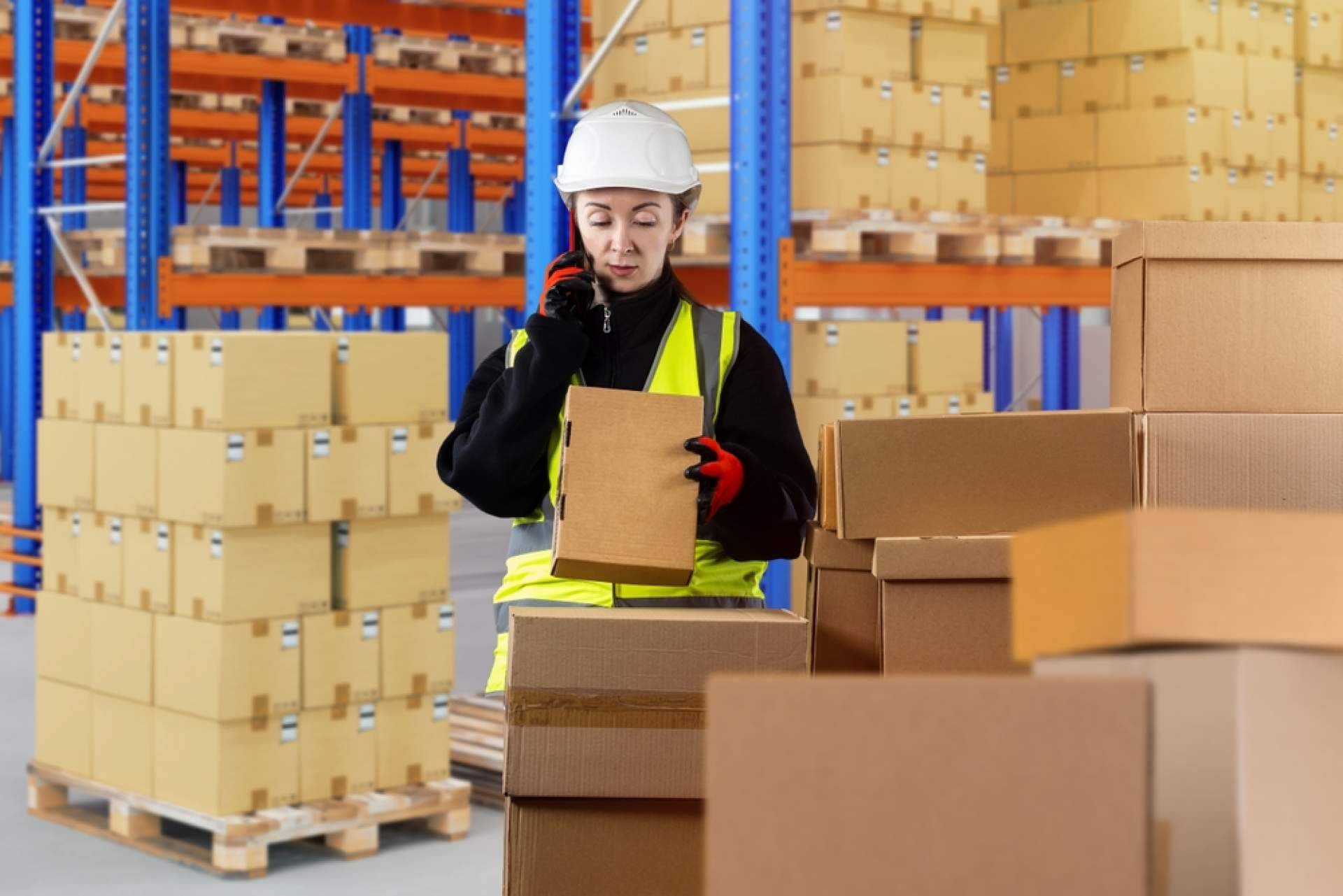 El despacho de aduanas, la especialización de Grupajes Alicante