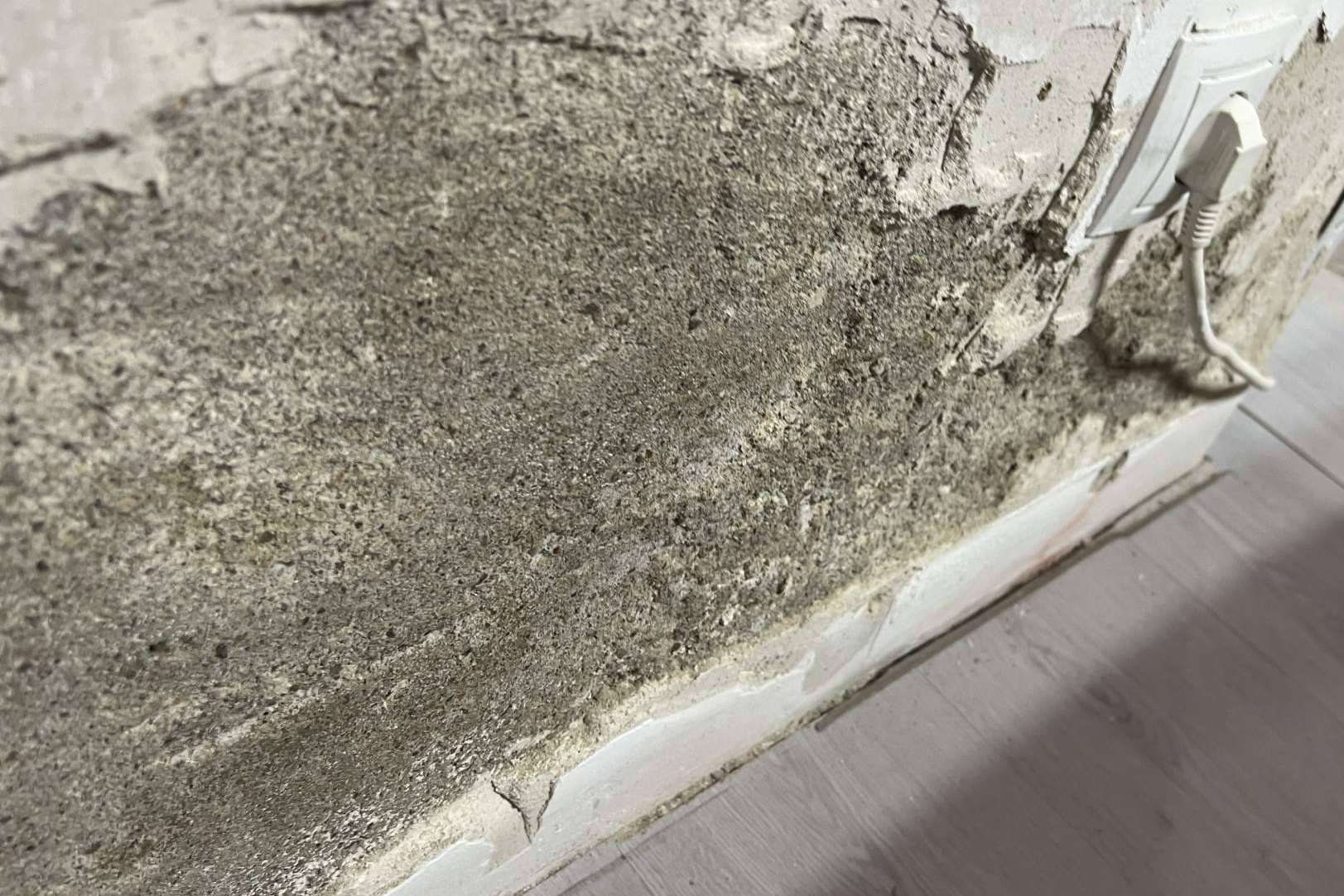Preactiva sobre cómo quitar la humedad de la pared
