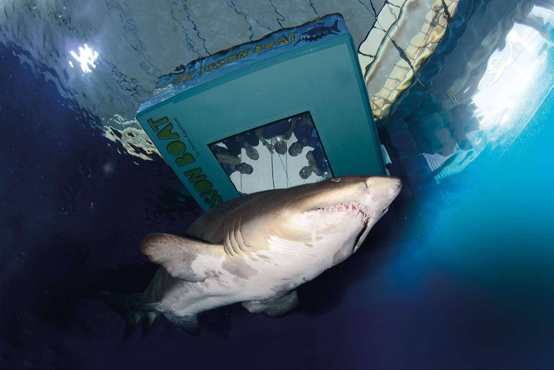 Palma Aquarium, actividades y experiencias que no pueden faltar