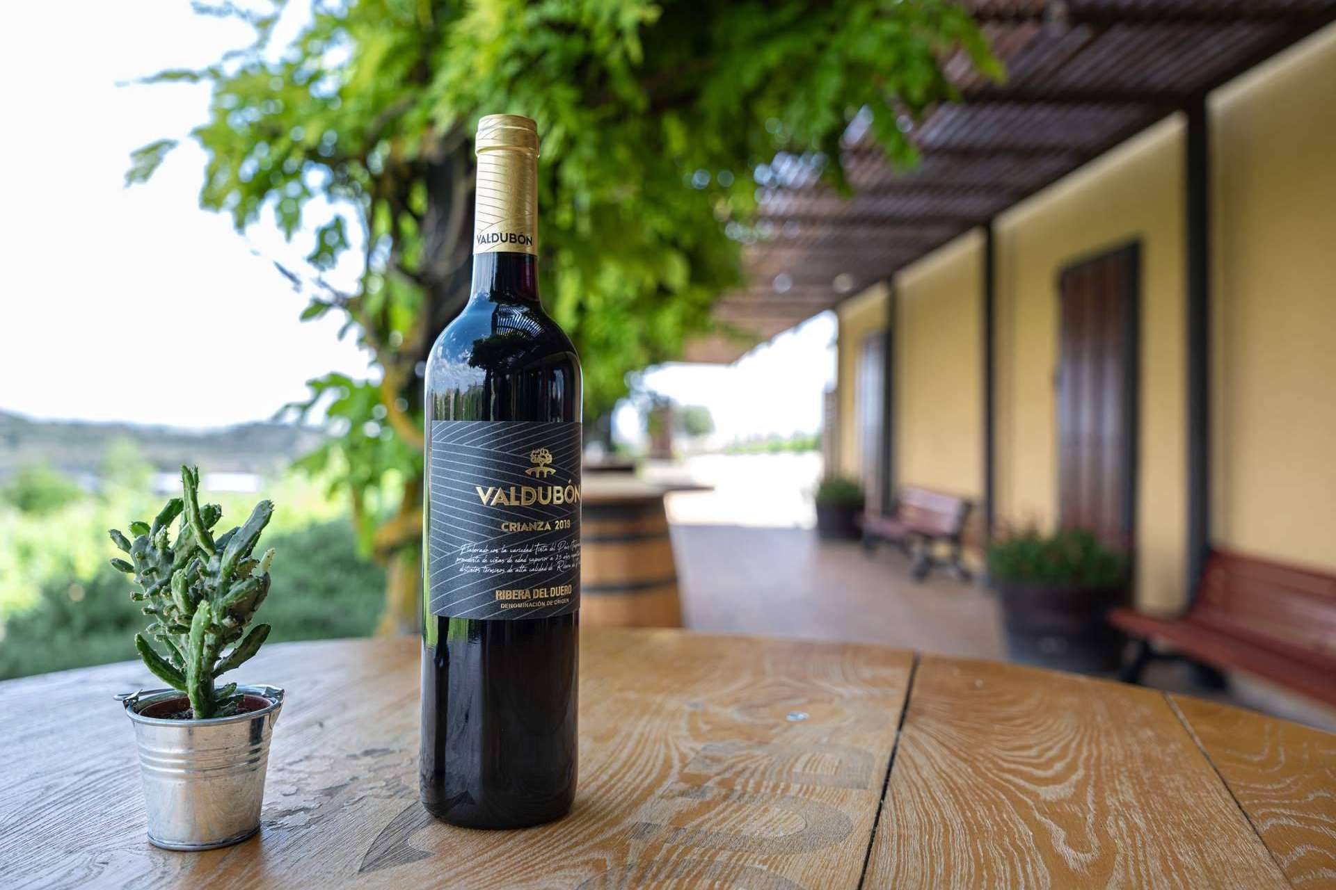 Valdubón, la bodega de Ribera del Duero de Ferrer Wines, ha triunfado como la más premiada del año