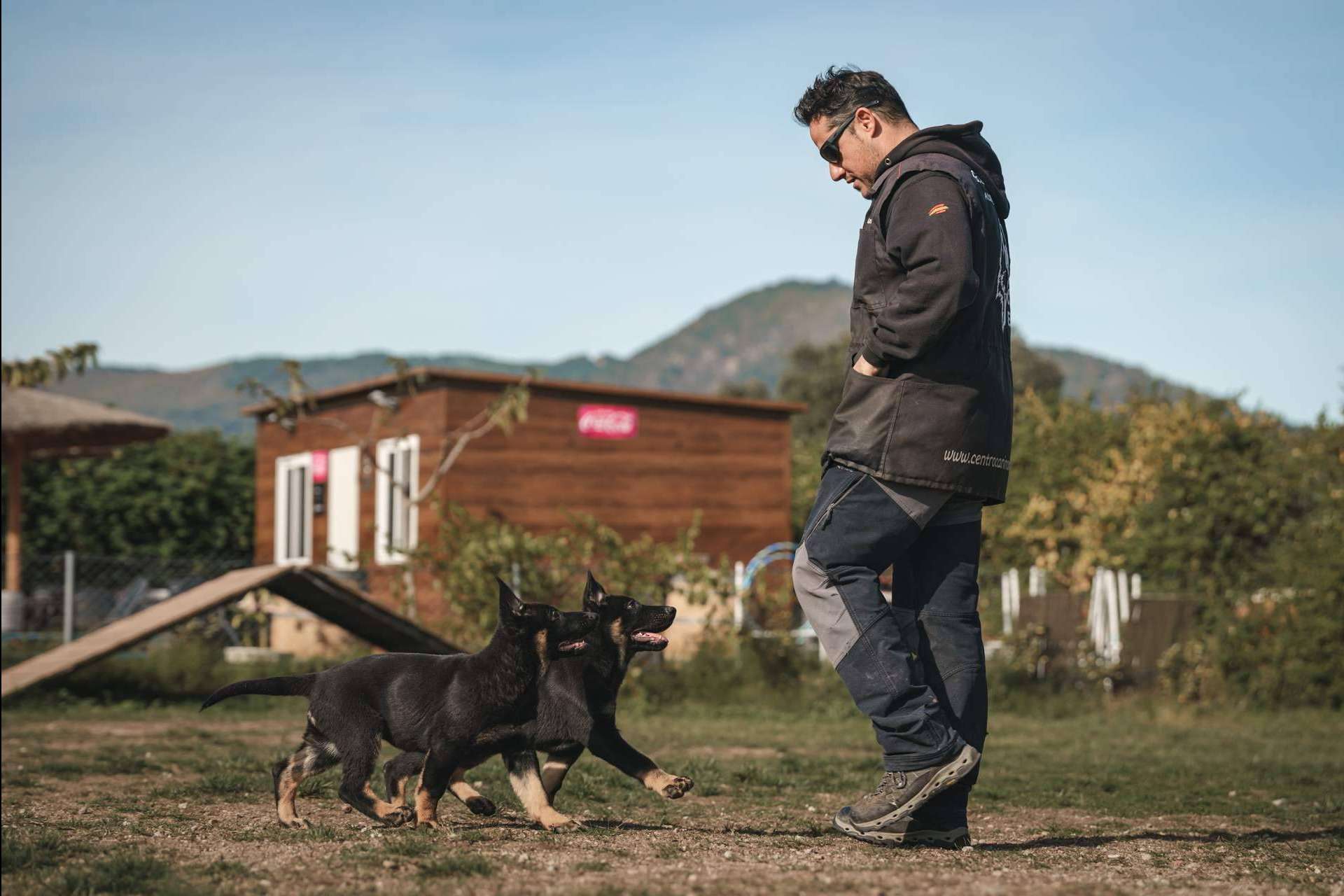 Cuidado, educación y adiestramiento para mascotas con la ayuda del centro Monte Ida