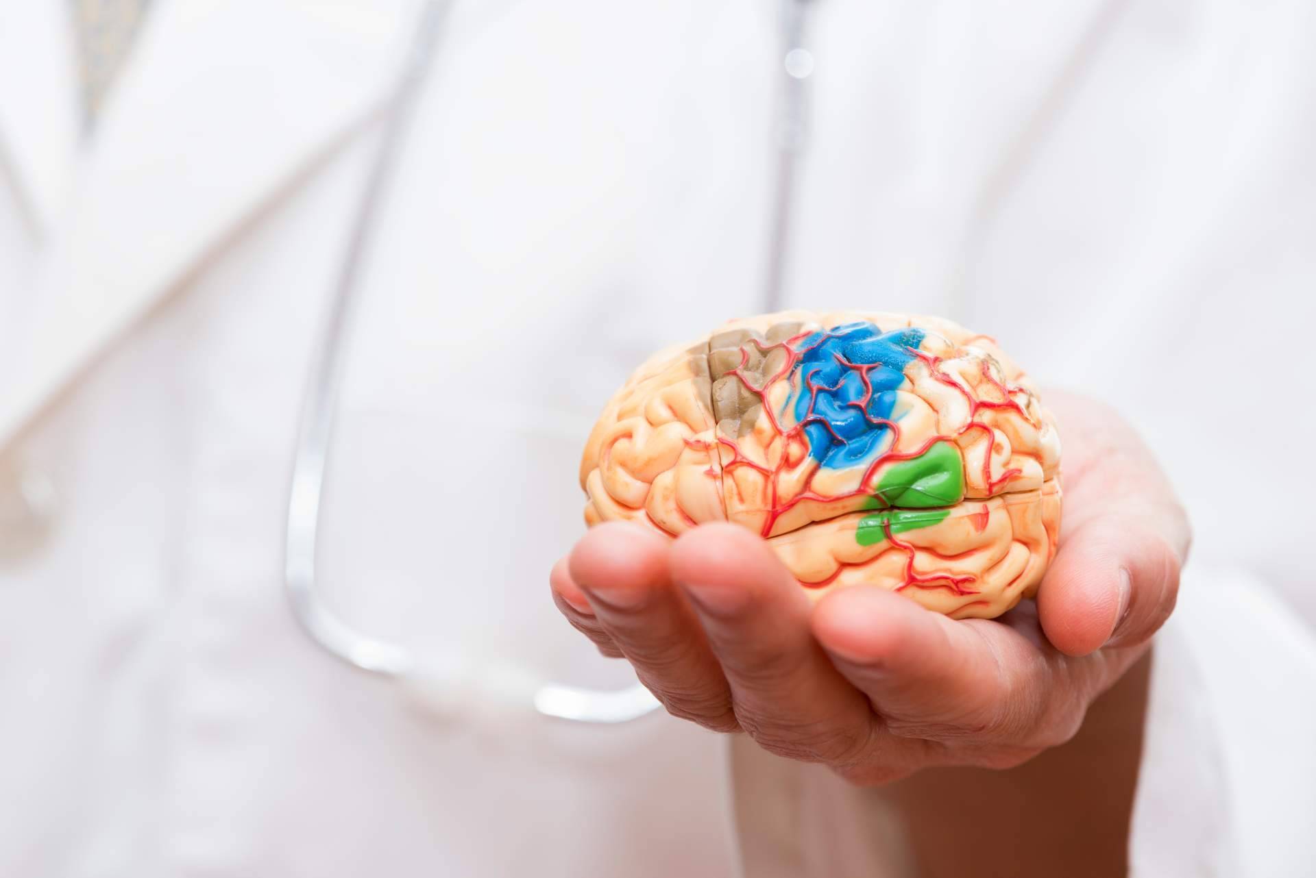 El I Congreso Internacional de Neuroatención rompe con éxito las expectativas que tenían los organizadores
