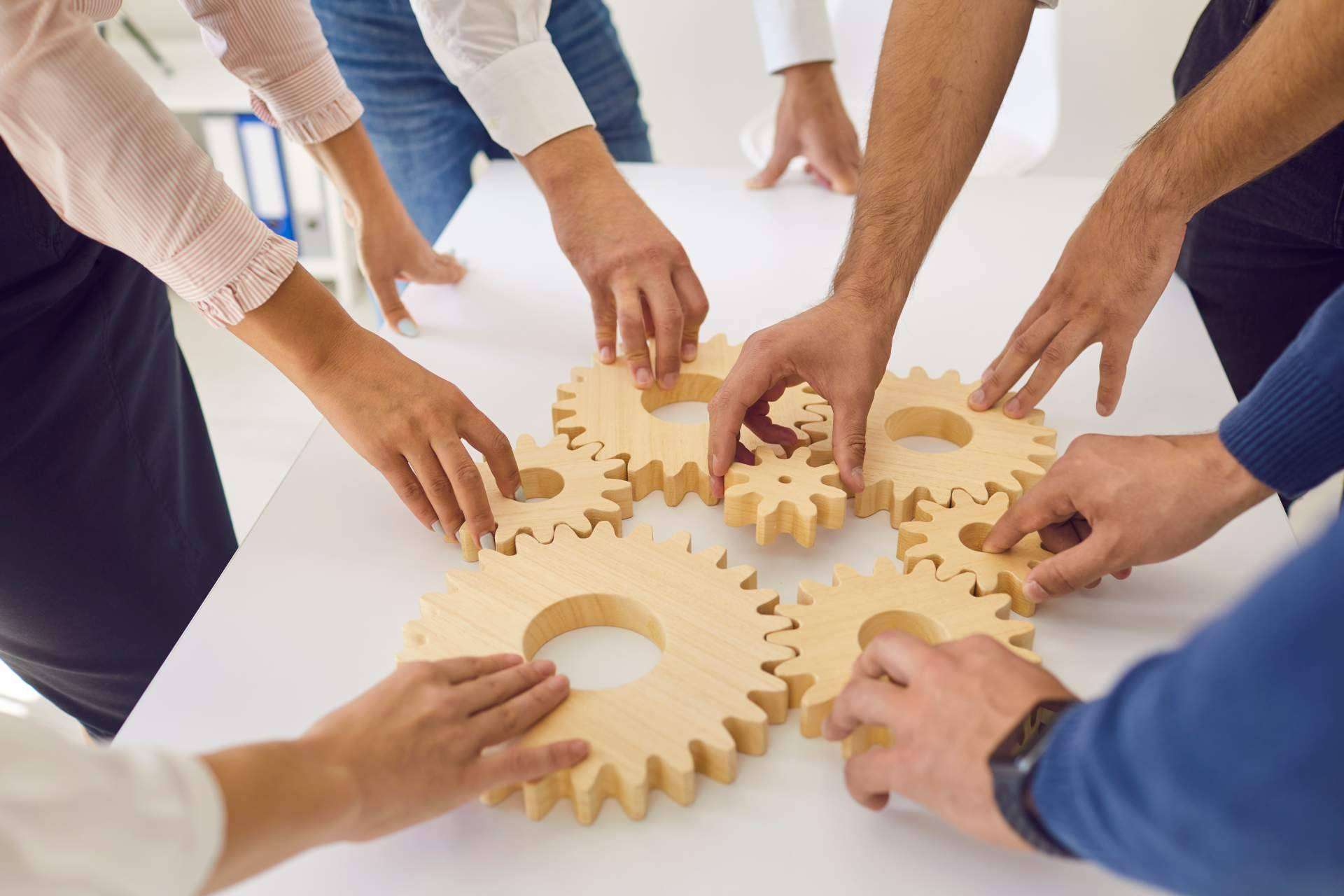 Organización 'felicaz', 10 motivos para construirla