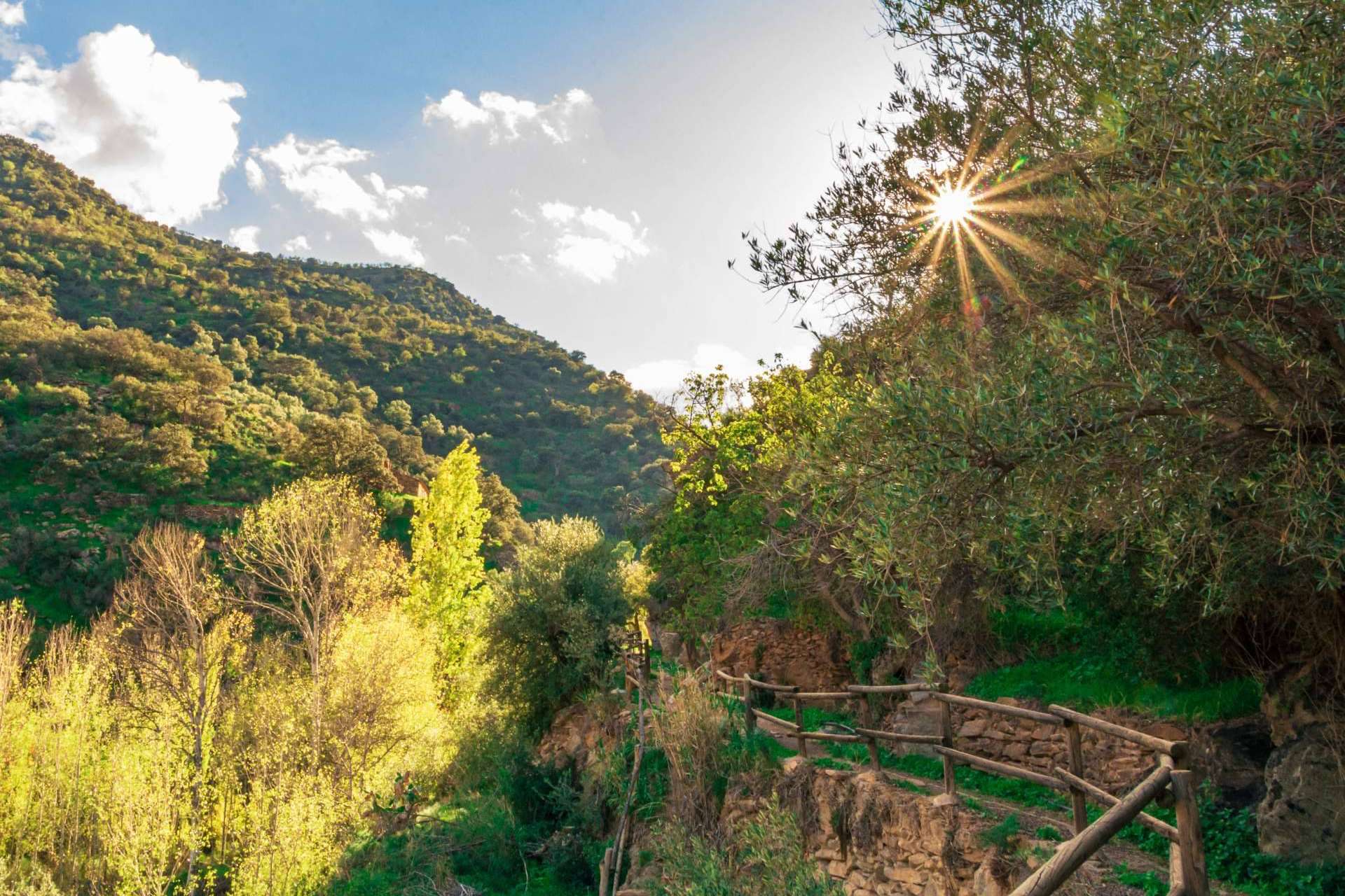 Una experiencia llena de cultura y naturaleza, turismo rural en el Valle del Almanzora (Almería)