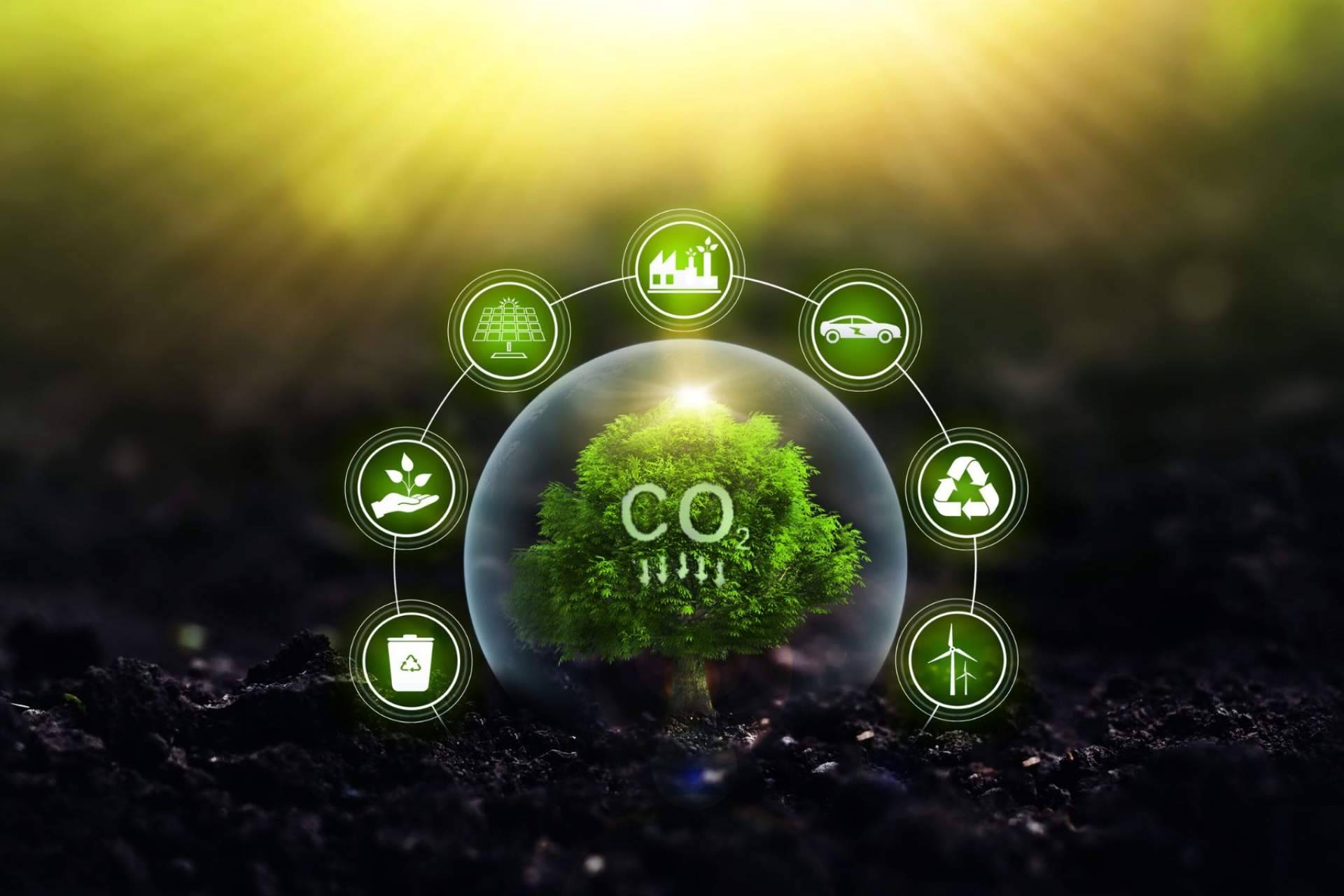 Desde 2019, Multienergía Verde reduce su huella de carbono en un 90 %