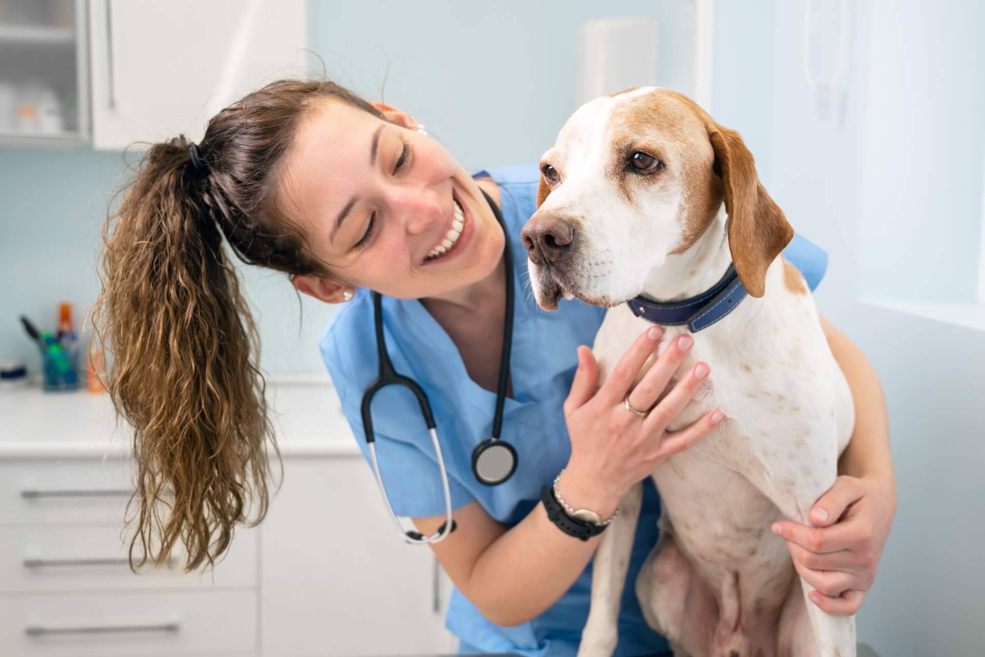 Vetformación ofrece formaciones profesionales de auxiliar técnico veterinaria