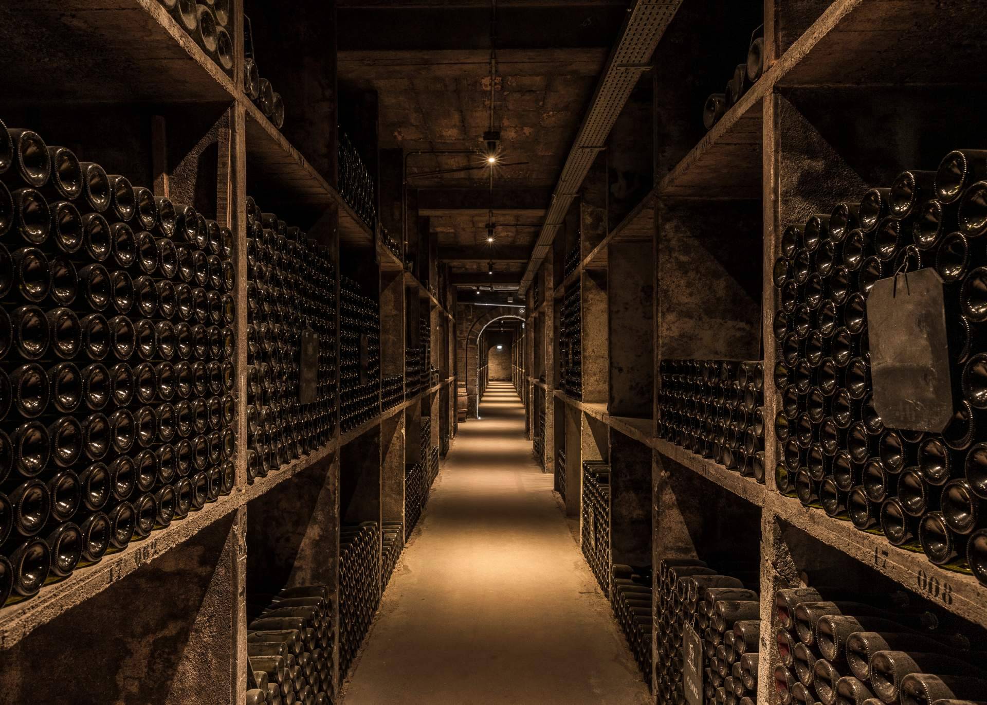 Naturalovers Wine se dedica a la elaboración de cavas y vinos de forma artesanal