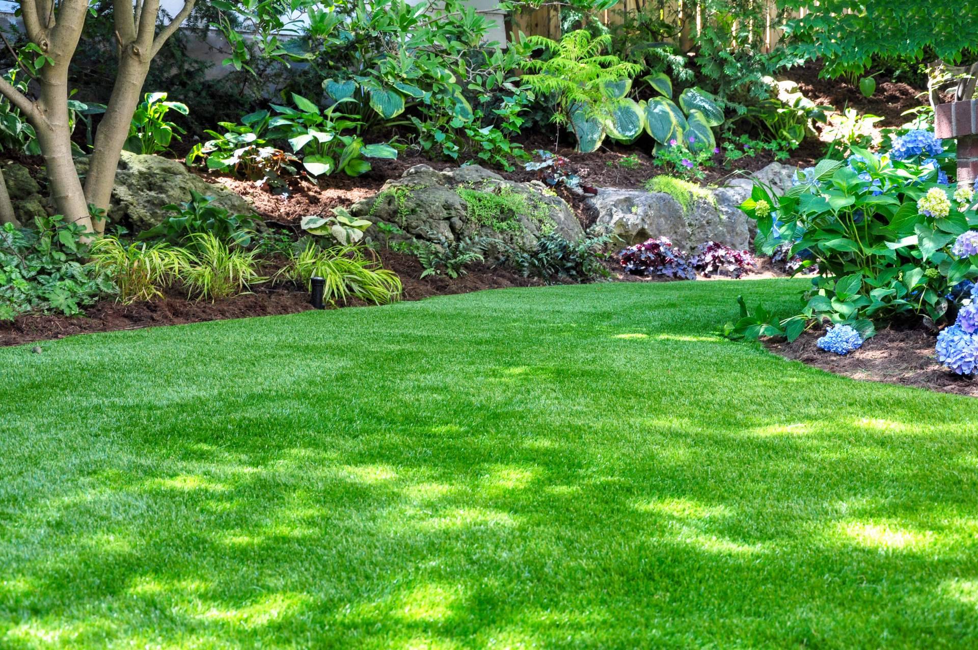 Producción de césped para jardines de bajo coste con Gramigreen
