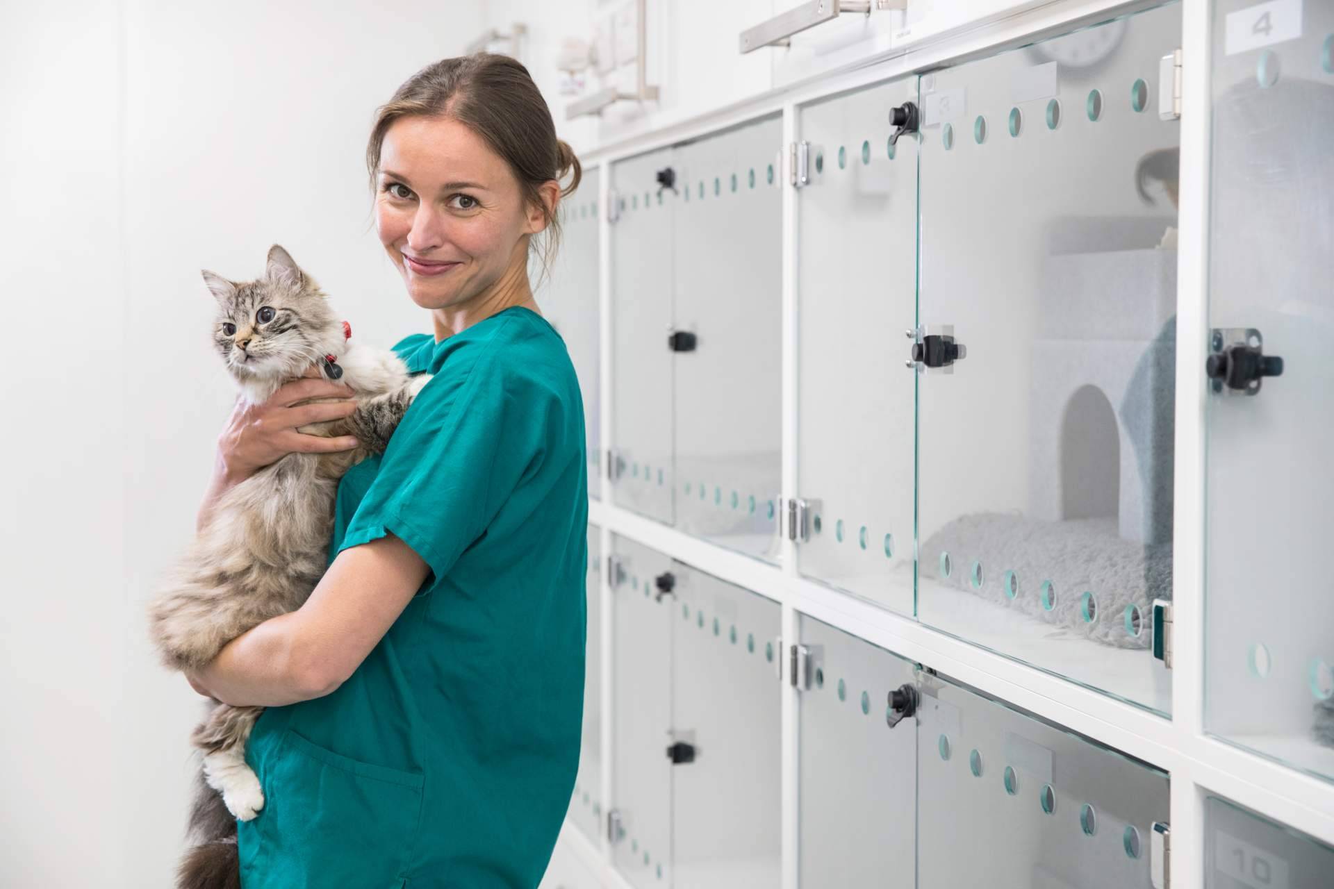 El cumplimiento de VetFormación en bienestar animal y ética en la práctica veterinaria