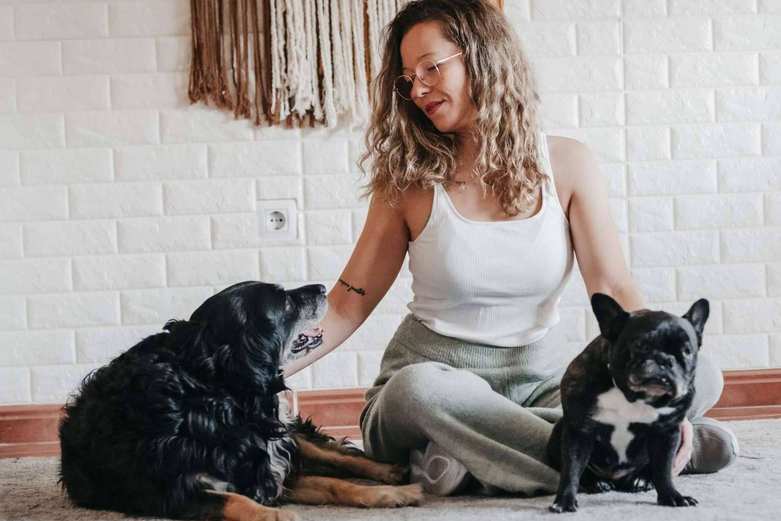 Terapia emocional para perros con Mery Calvo
