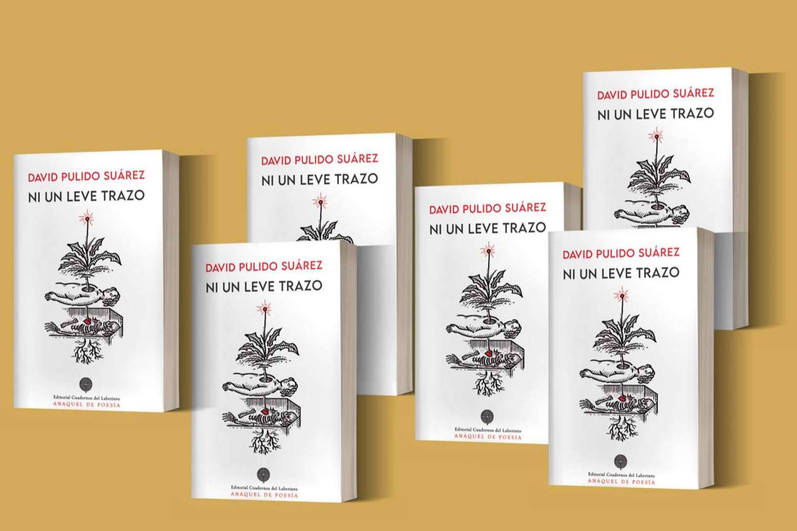 El poeta canario David Pulido sorprende con su nuevo libro ‘Ni un leve trazo’, literatura de altura