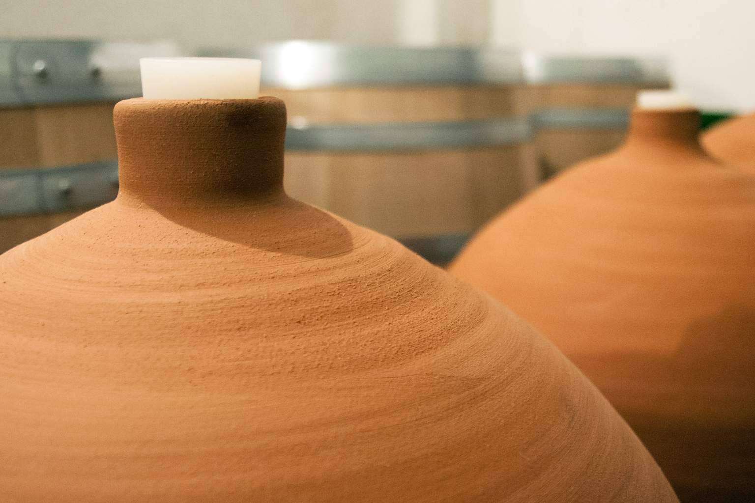 El vino como forma de vida en la bodega de vino Bodegas Vegalfaro