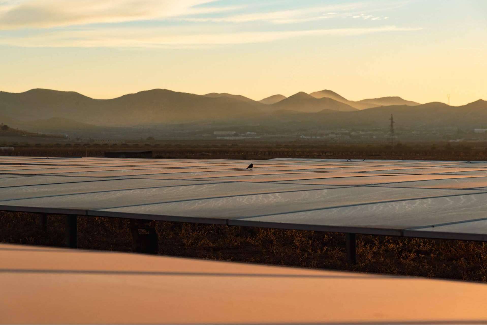 El impacto de la energía fotovoltaica en 2024 y el rol de Artec Energy