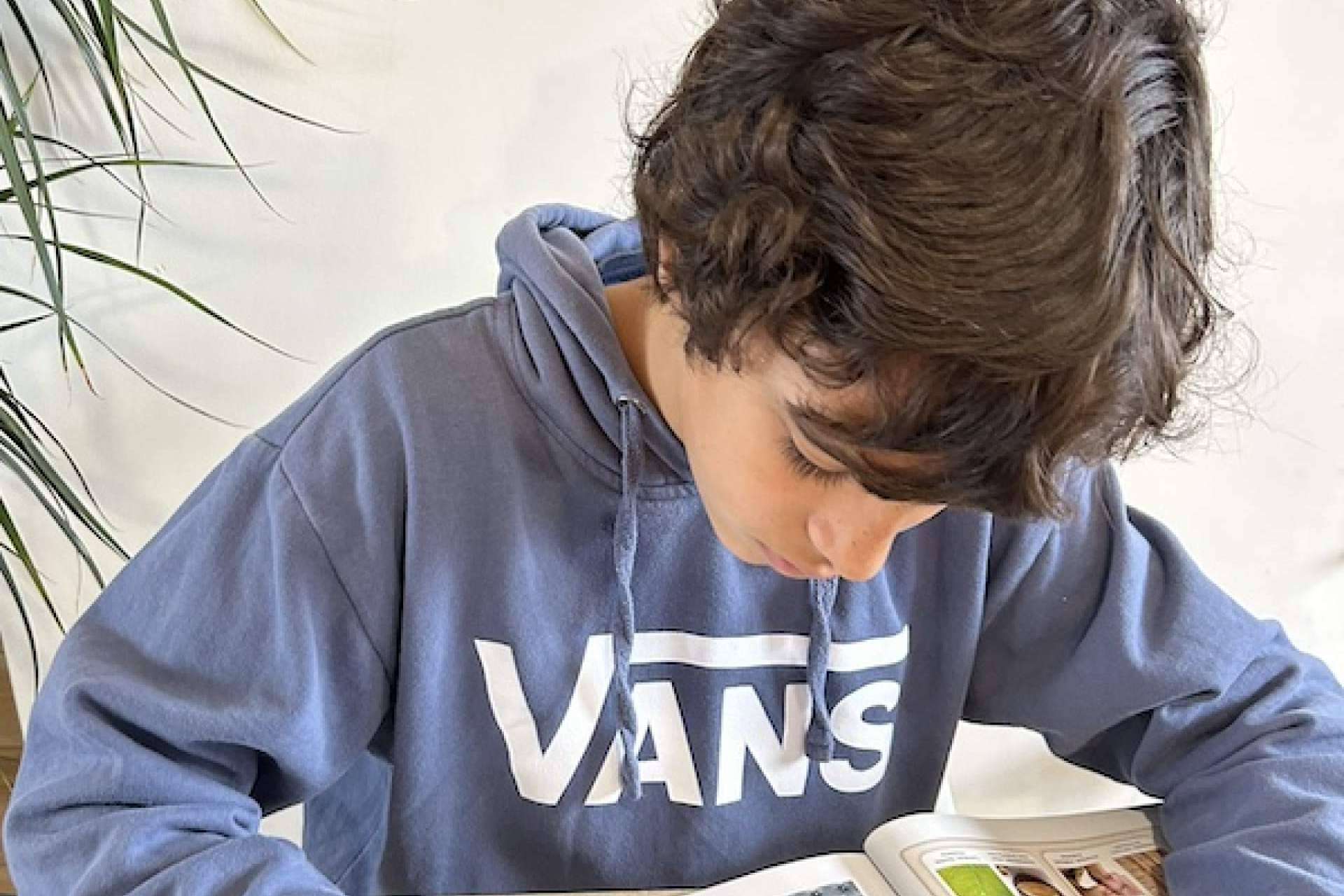 Una buena orientación vocacional predice el éxito en la elección del futuro