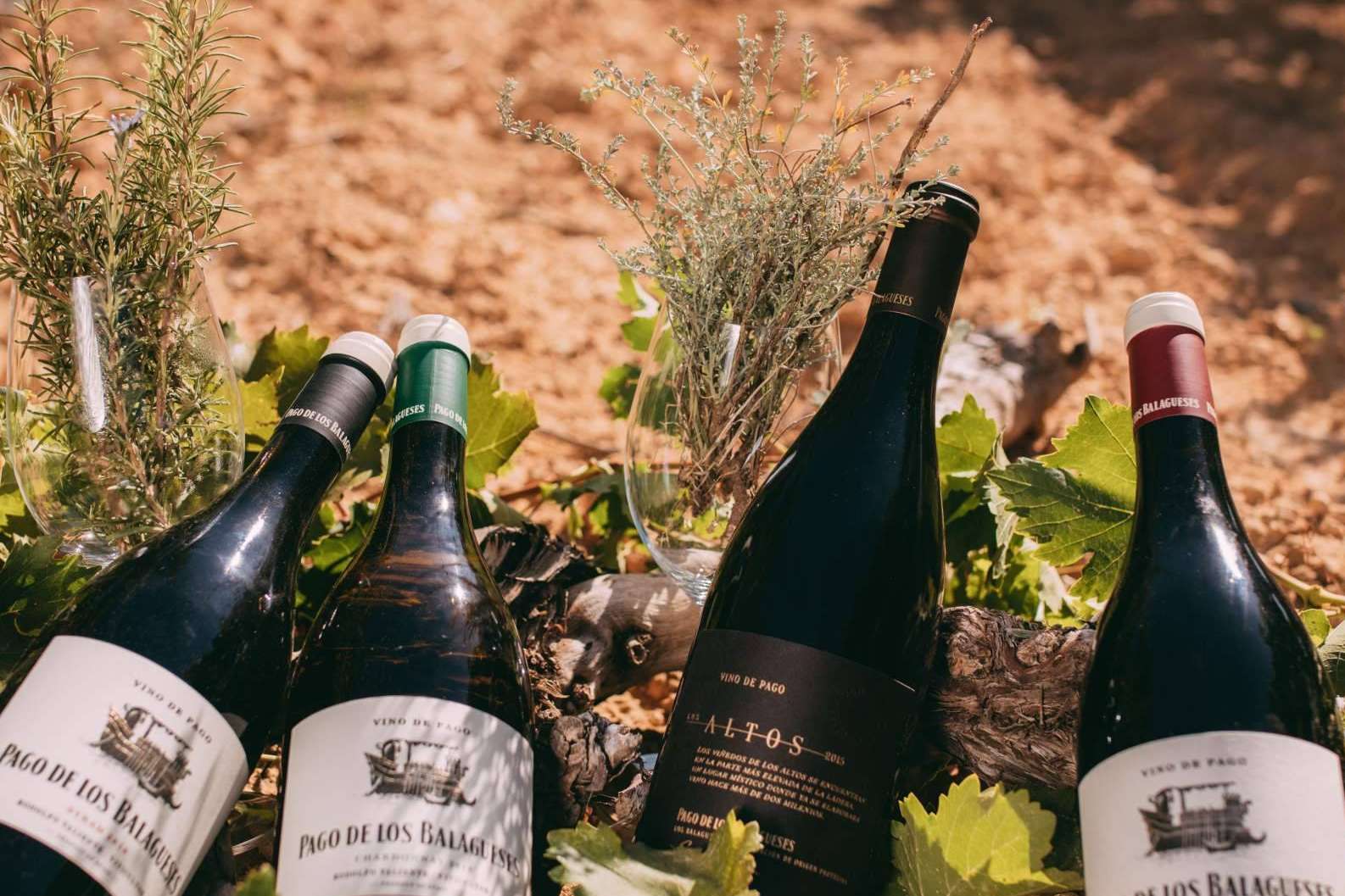 El vino de pago ecológico de Vegalfaro con calidad exquisita; Pago de los Balagueses