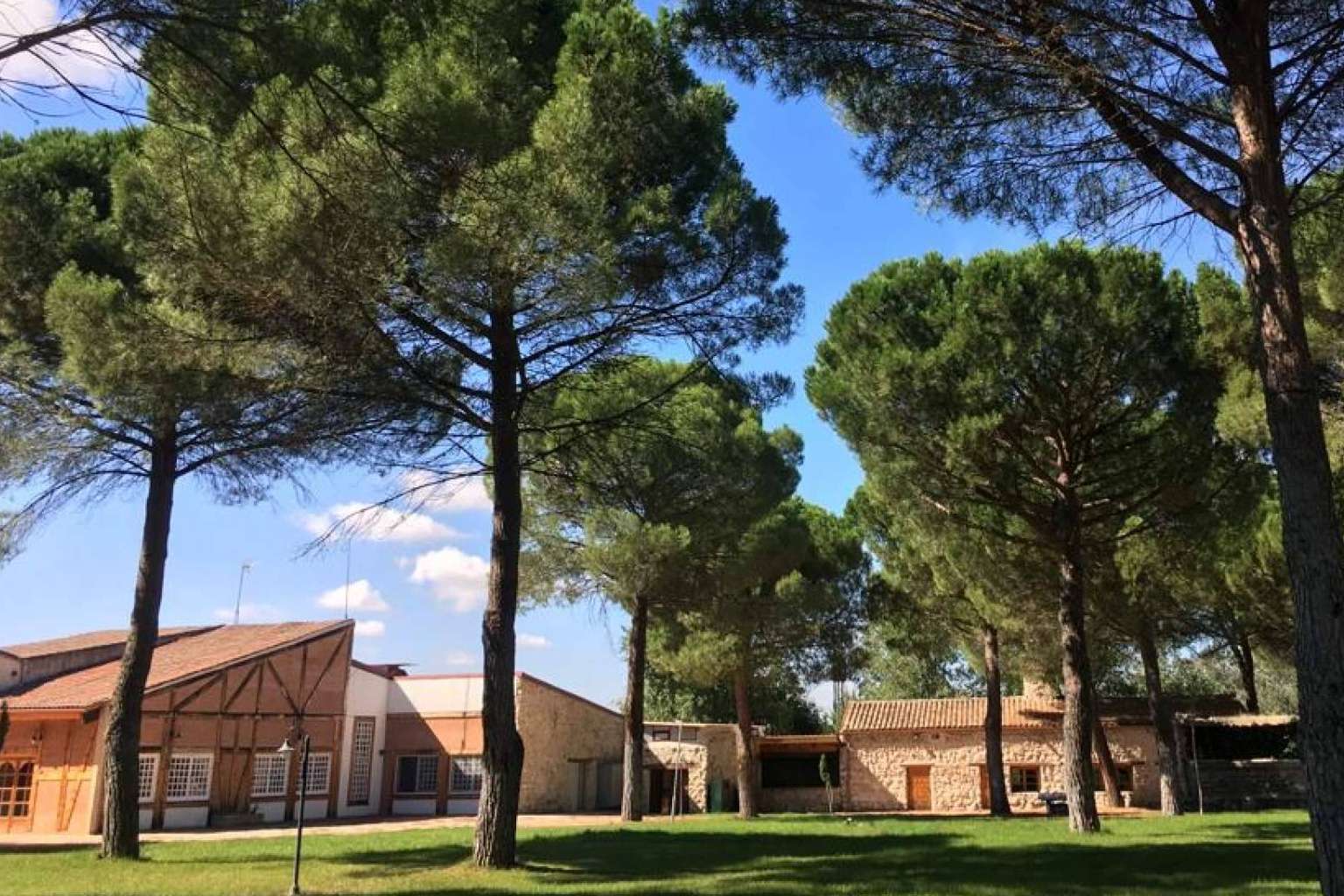 Campamentos de verano en La Senda de Matapozuelos de la mano de Aula Joven