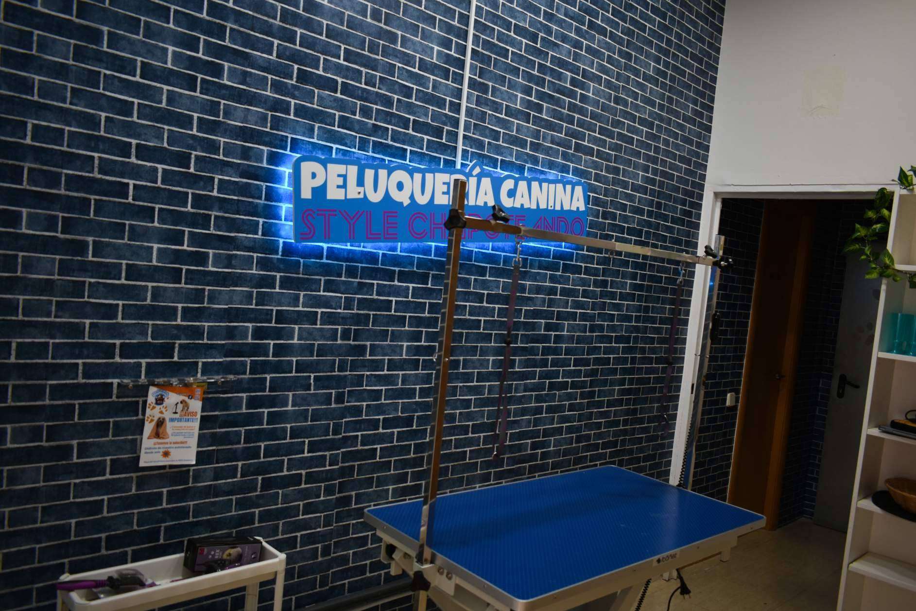 Los beneficios de las franquicias de peluquería canina de Chapoteando