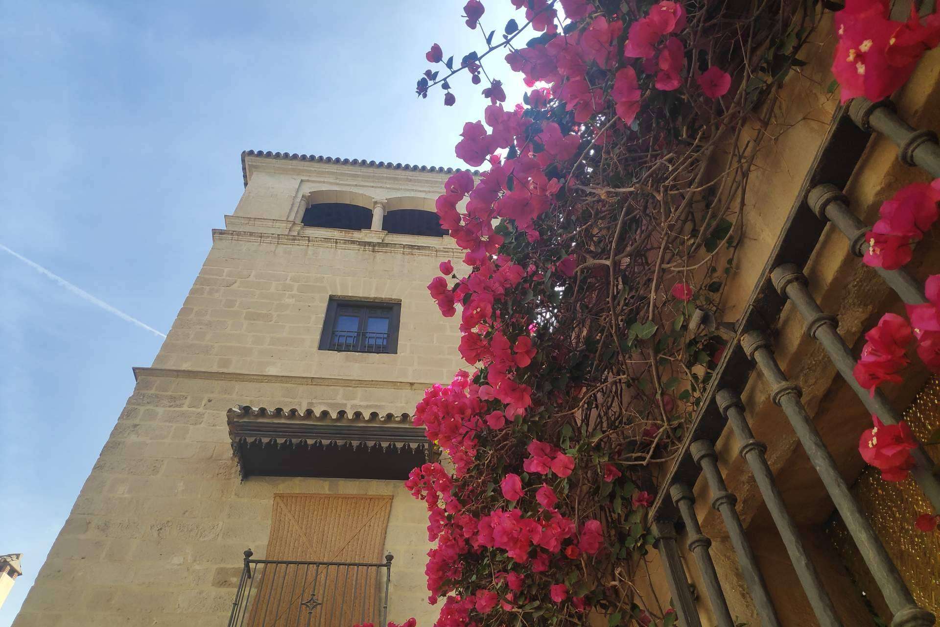 4 free tours imprescindibles en Málaga, con Malagaturismo.es