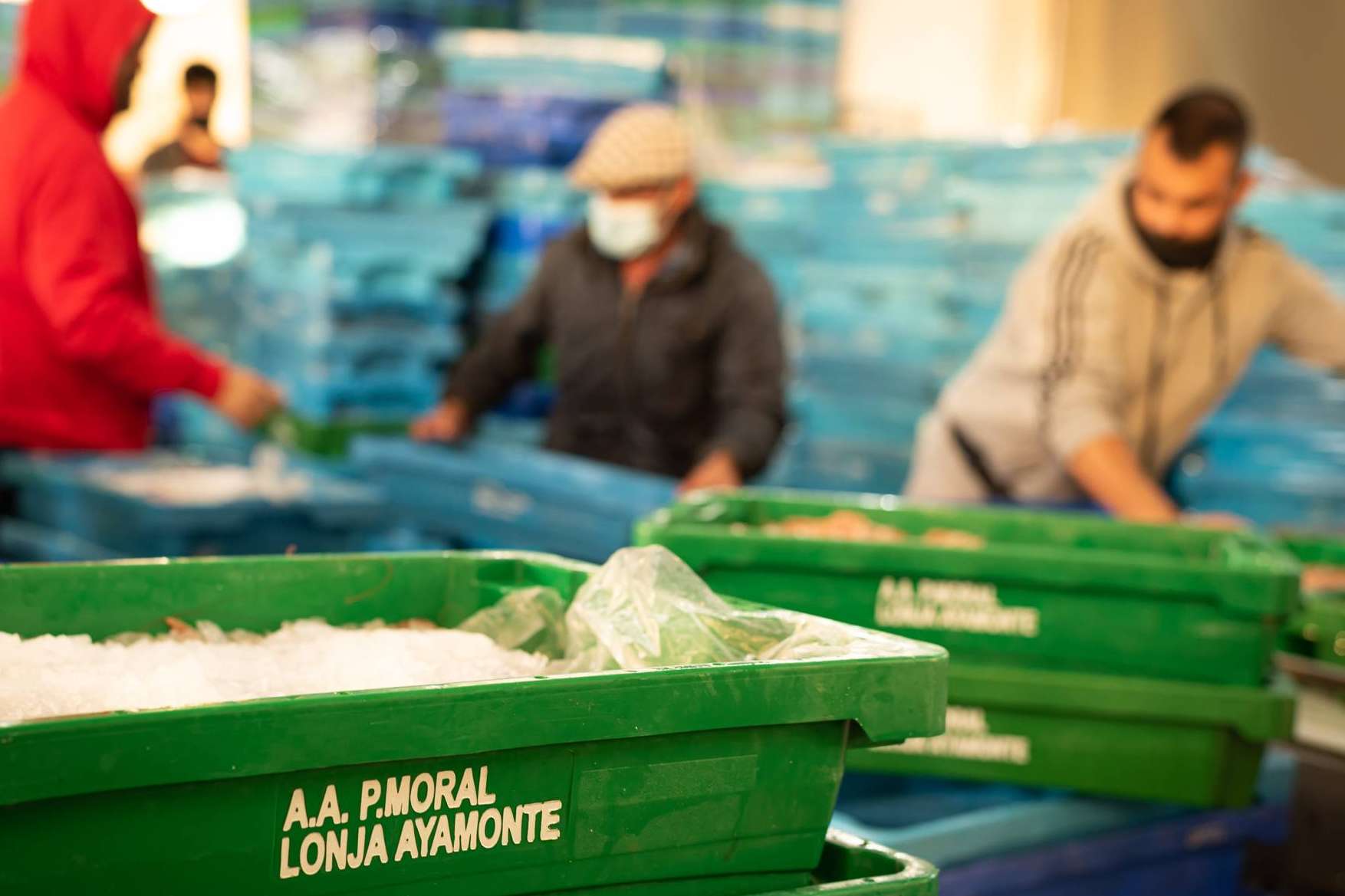 Lonja de Ayamonte ofrece frescura y calidad en venta de pescados y mariscos online