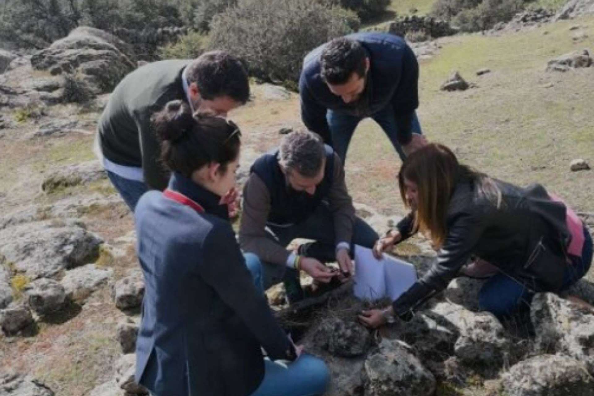 Los últimos descubrimientos de la neurociencia. Los efectos de las actividades formativas para compañías en la naturaleza