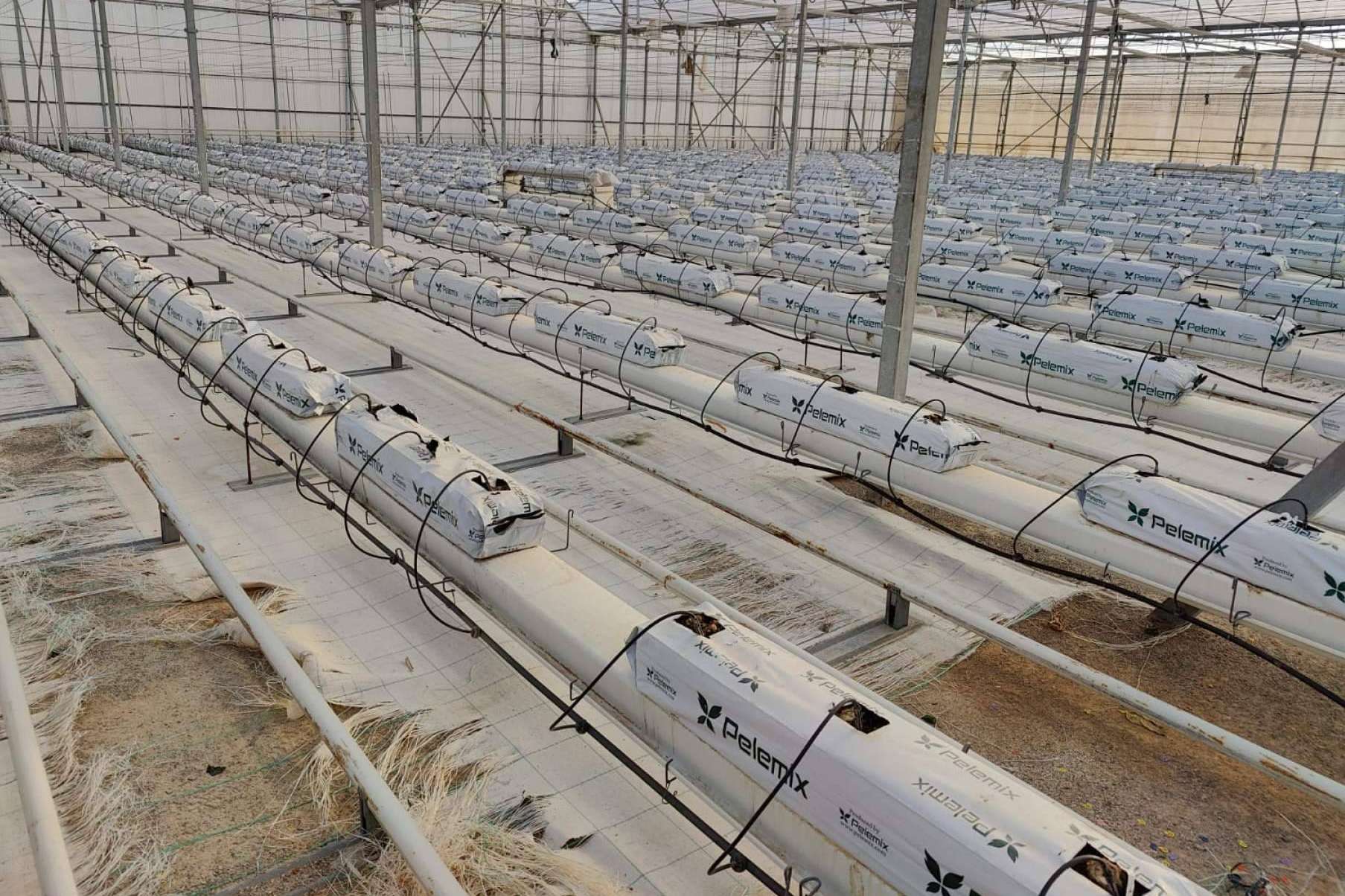 Agricultura sostenible con Pelemix; cultivos hidropónicos para luchar contra la sequía y el medioambiente