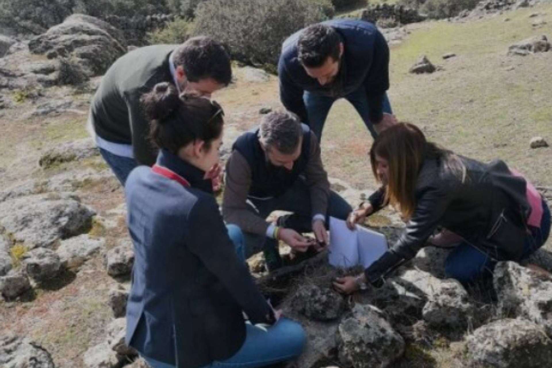 Actividades de teambuilding en No Name Sport para potenciar equipos de trabajo e incrementar la productividad