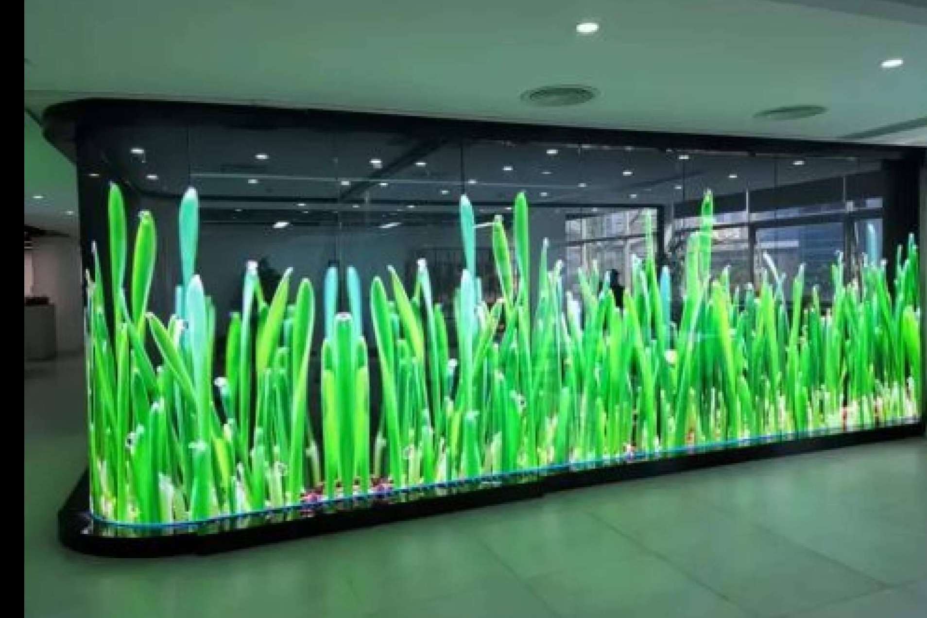 New Tech Store brinda soluciones innovadoras para hologramas y señalización digital