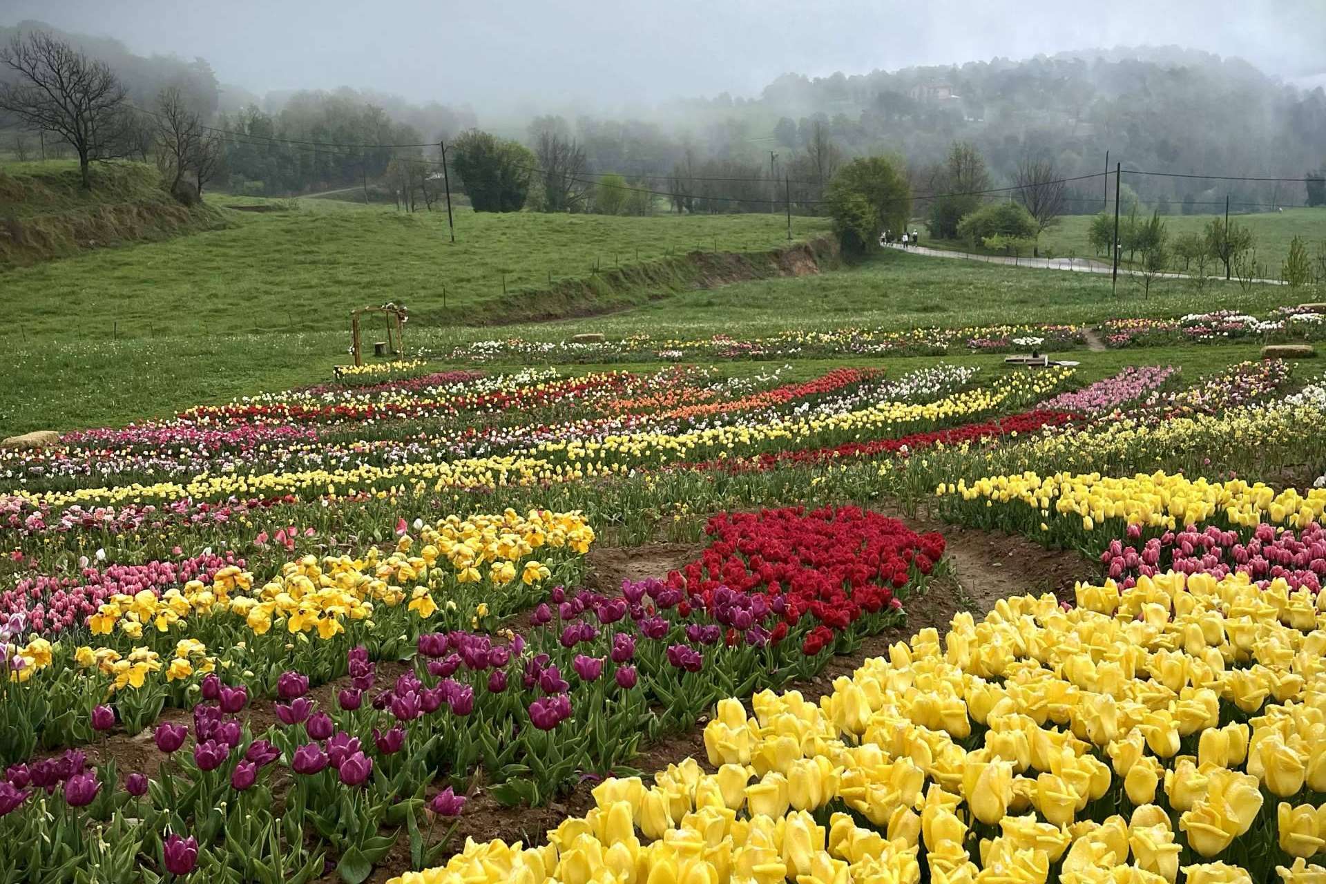 Niudàlia, un refugio para los amantes de la naturaleza y las flores