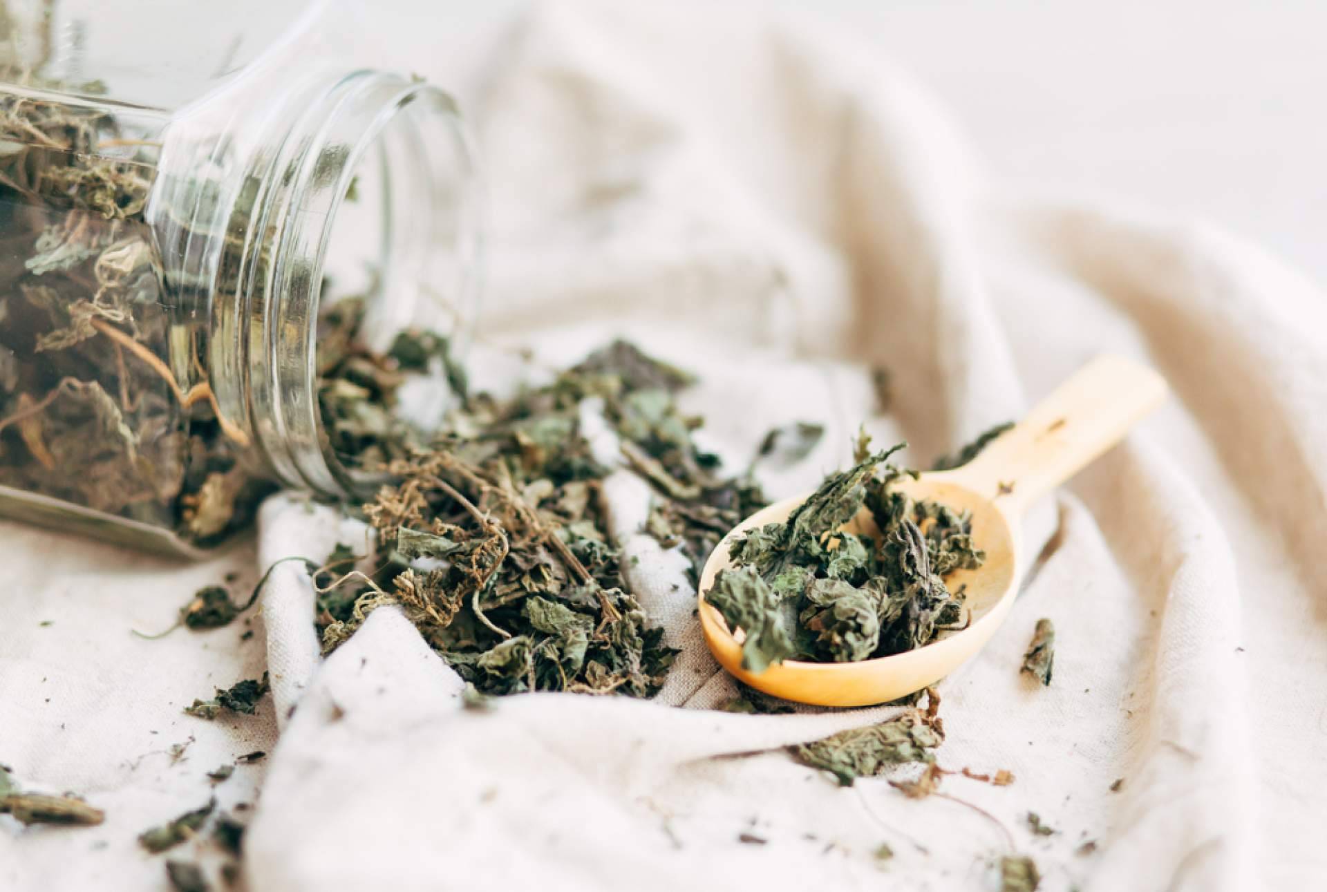 WOW, la infusión de ortiga ecológica de Sientea que aporta energía y buenas vibras