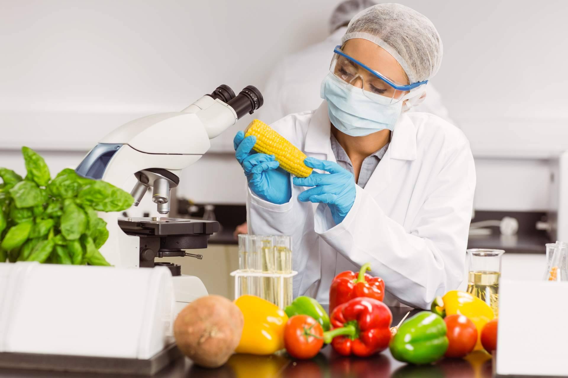 Normas GFSI para garantizar un mayor nivel de calidad y seguridad en la industria alimentaria, por Ingade