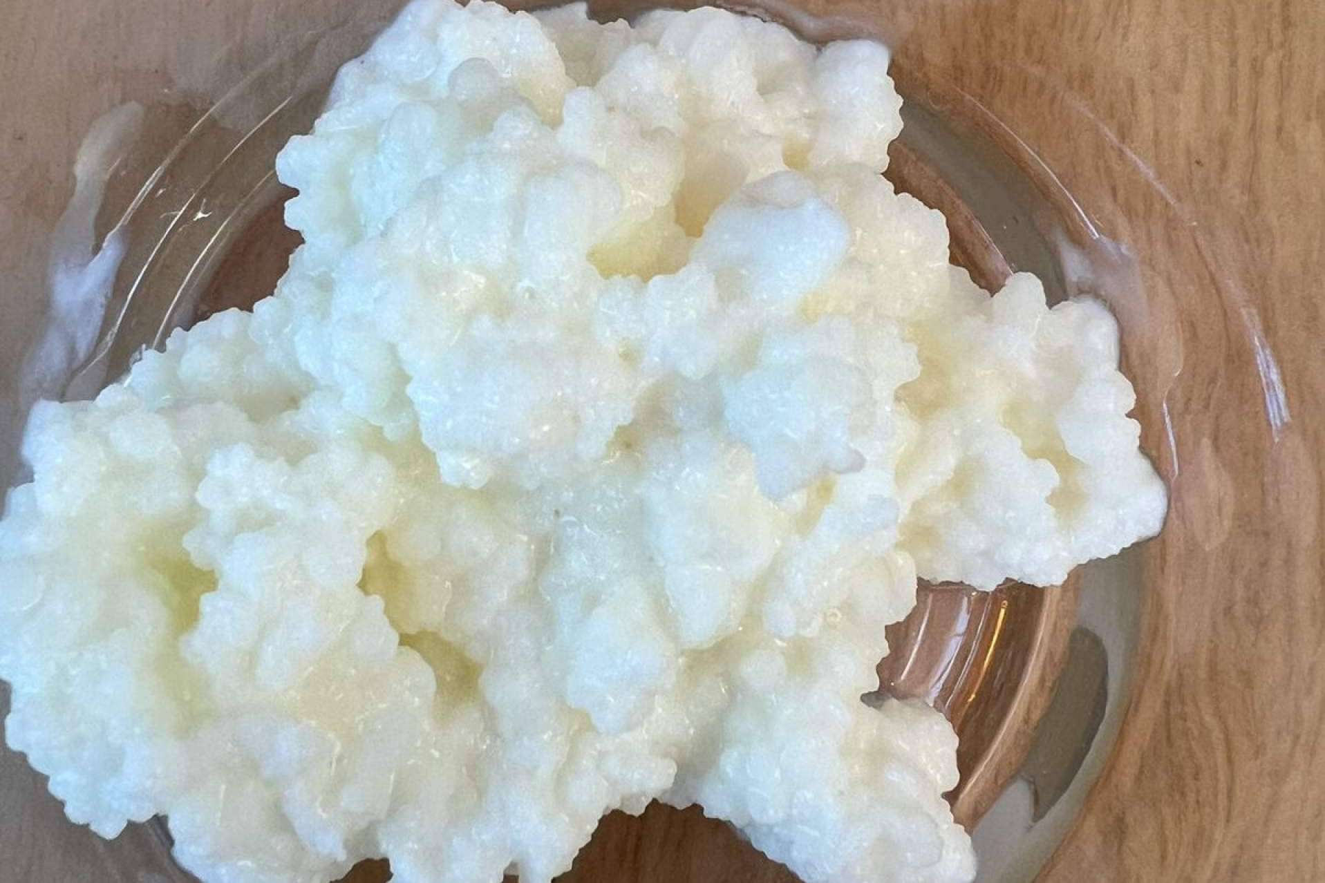 Consumir kéfir sanitariamente seguro, de las manos de Oh My Kéfir