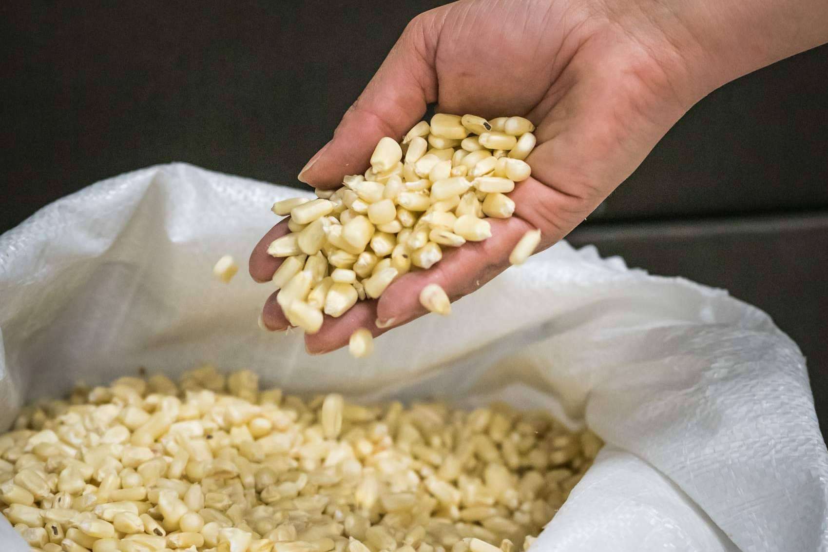 Maíz Maya; autenticidad y sabor en cada pedido a través de su tienda online