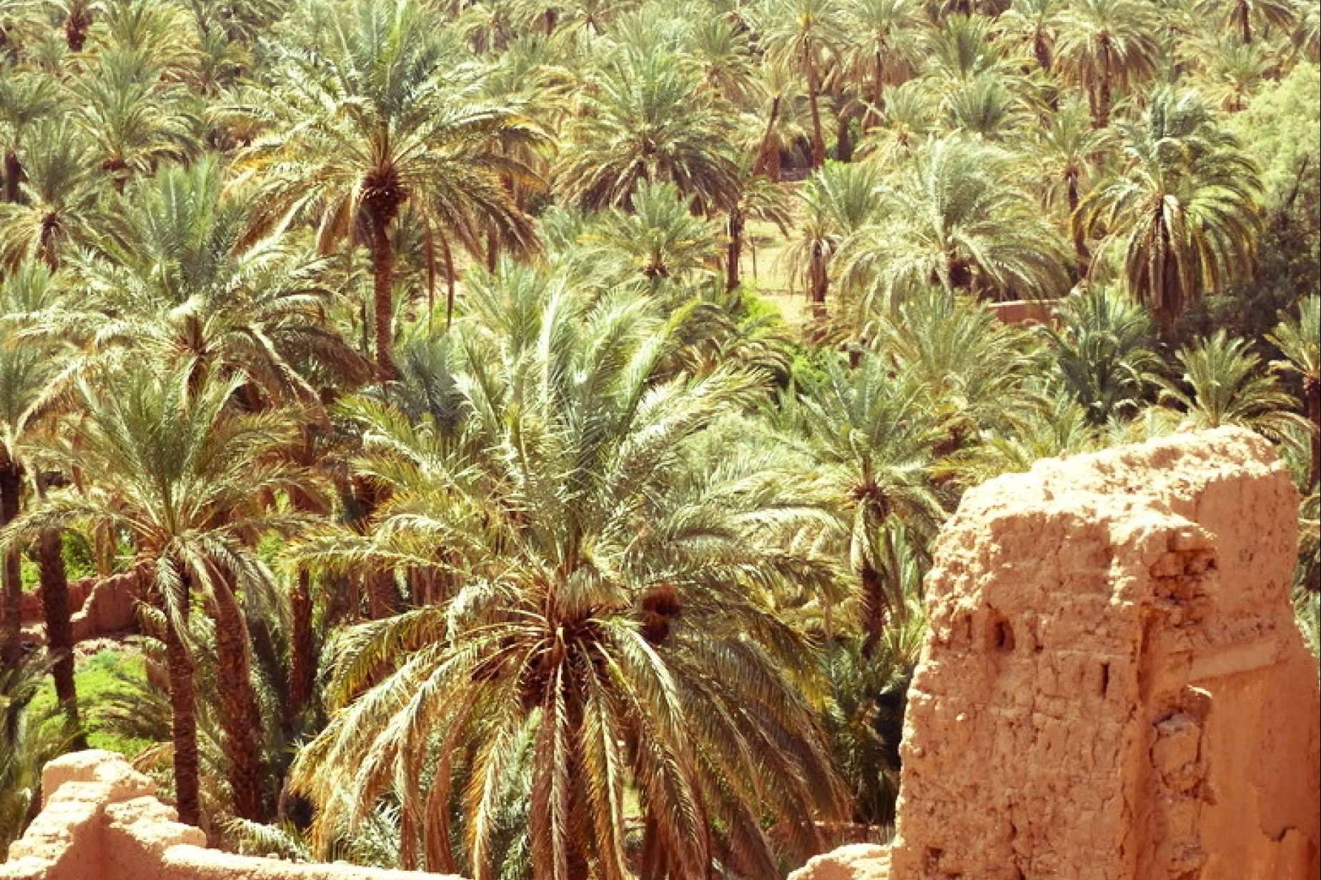 Viajes a Marruecos privados fuera de las rutas turísticas habituales