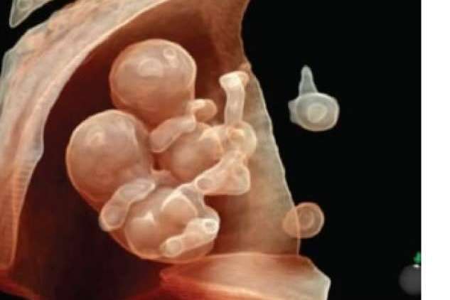 SCPmedical impulsa la modernización clínica con su variedad de ecógrafos a precios competitivos