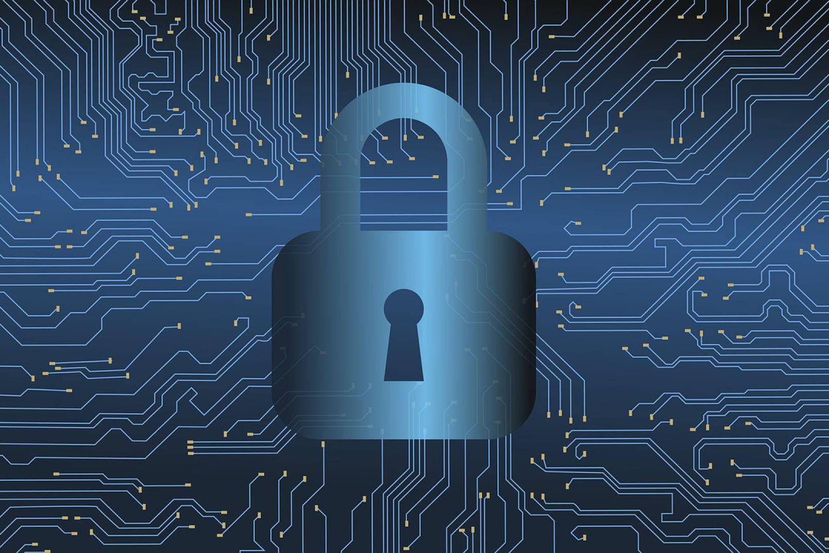 Servicios de ciberseguridad a medida, la apuesta estratégica de INTK Business Security