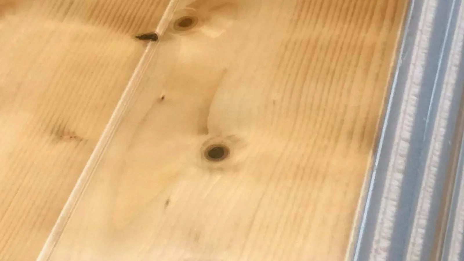 Guía de acabados decorativos para techos, cómo el panel sándwich de madera transforma los espacios vacacionales