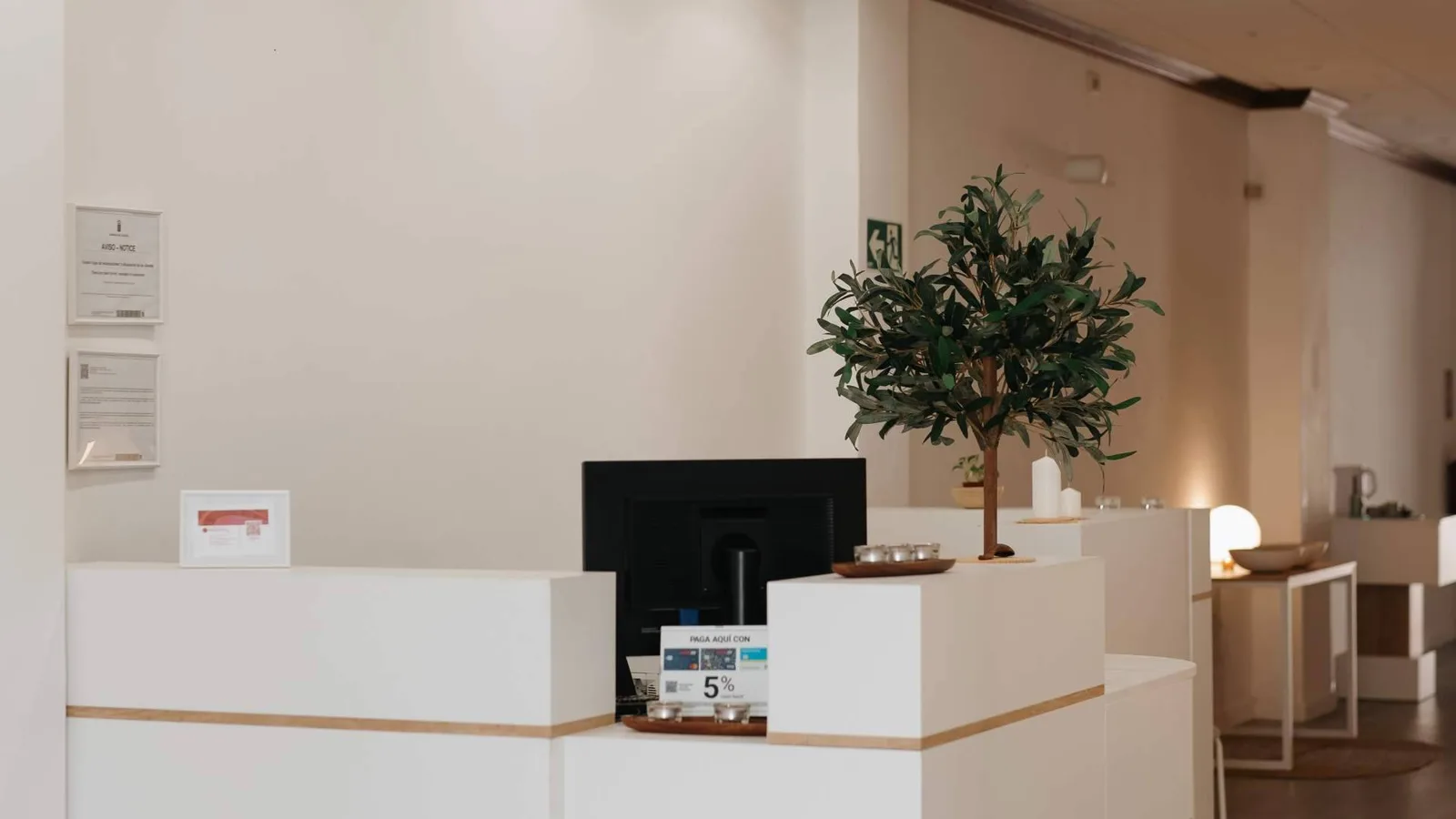 Head Spa, la experiencia japonesa que transforma cuerpo y cabello en Tenerife